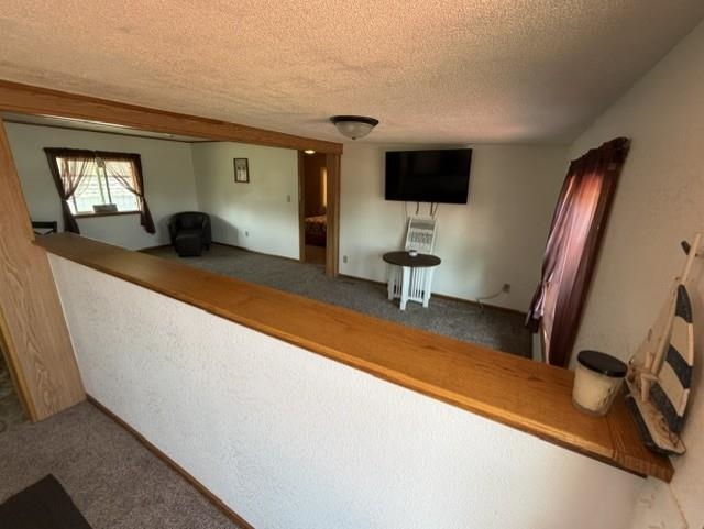 Photo 11 of 315 LN 301 Barton Lk
