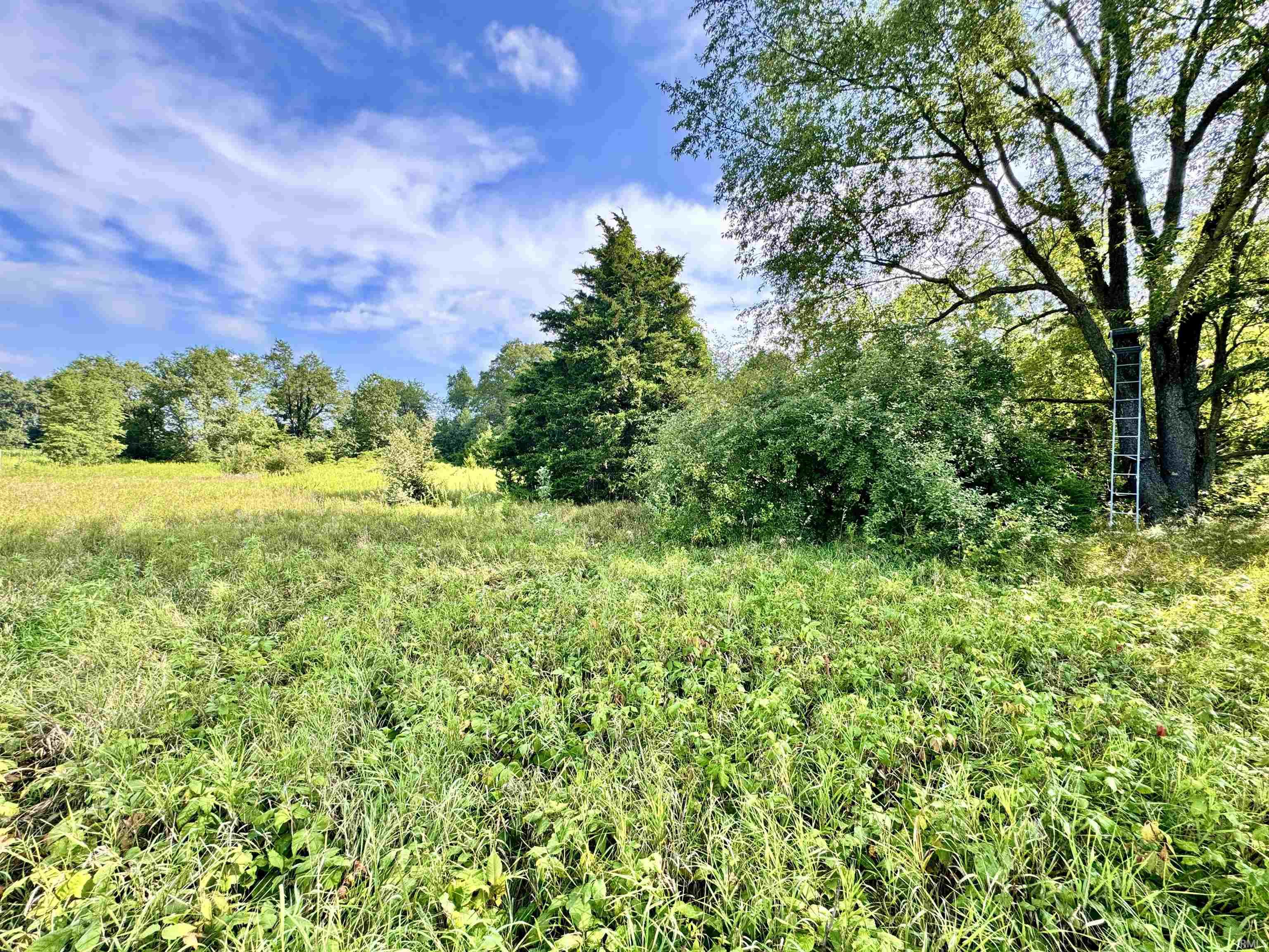 5th image of 14636 W 300 N, Medaryville, IN 47957 | MLS# 202634550