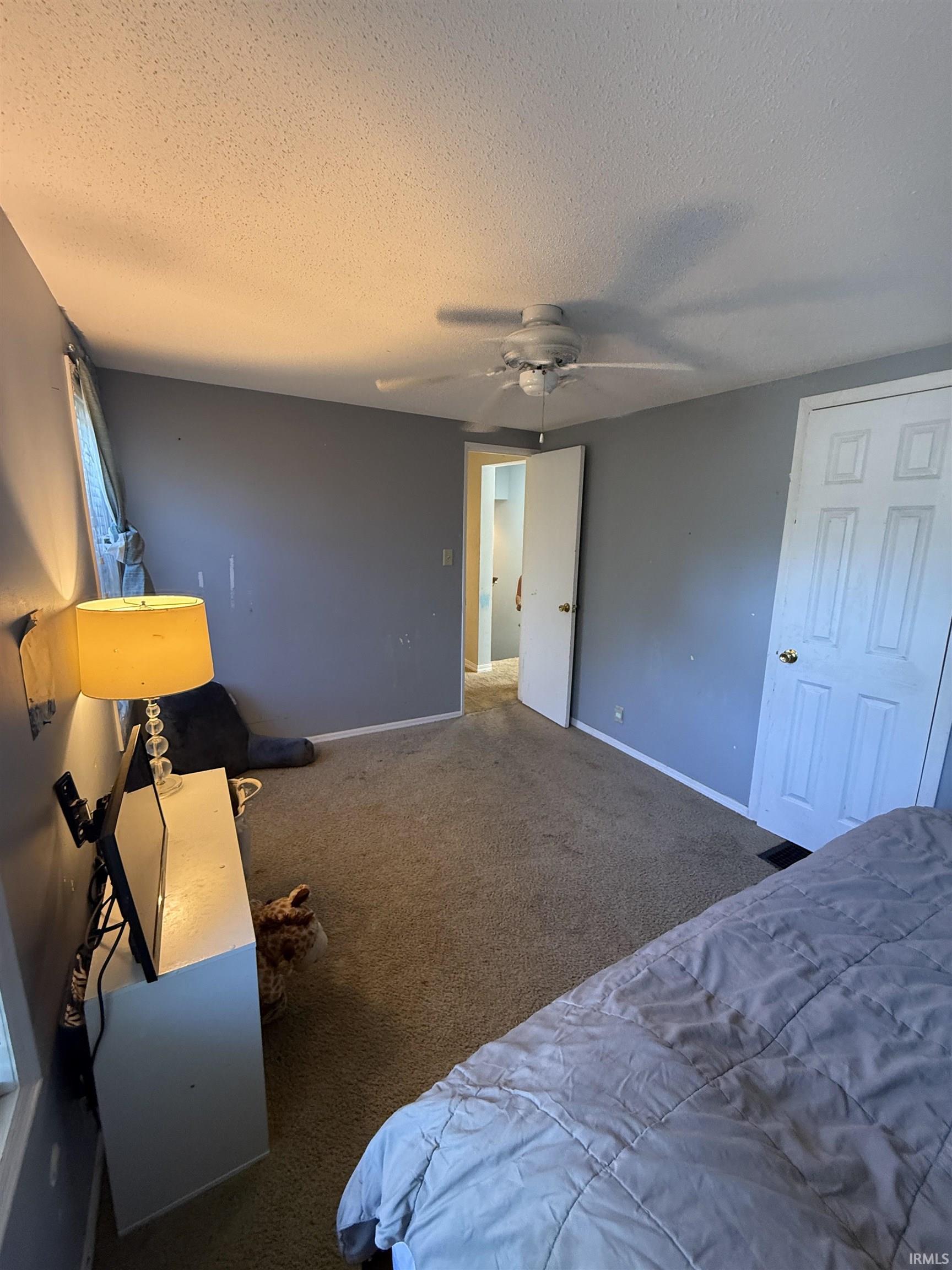 Textured ceiling, wall-mounted light fixture, paneled interior door, and ceiling fan