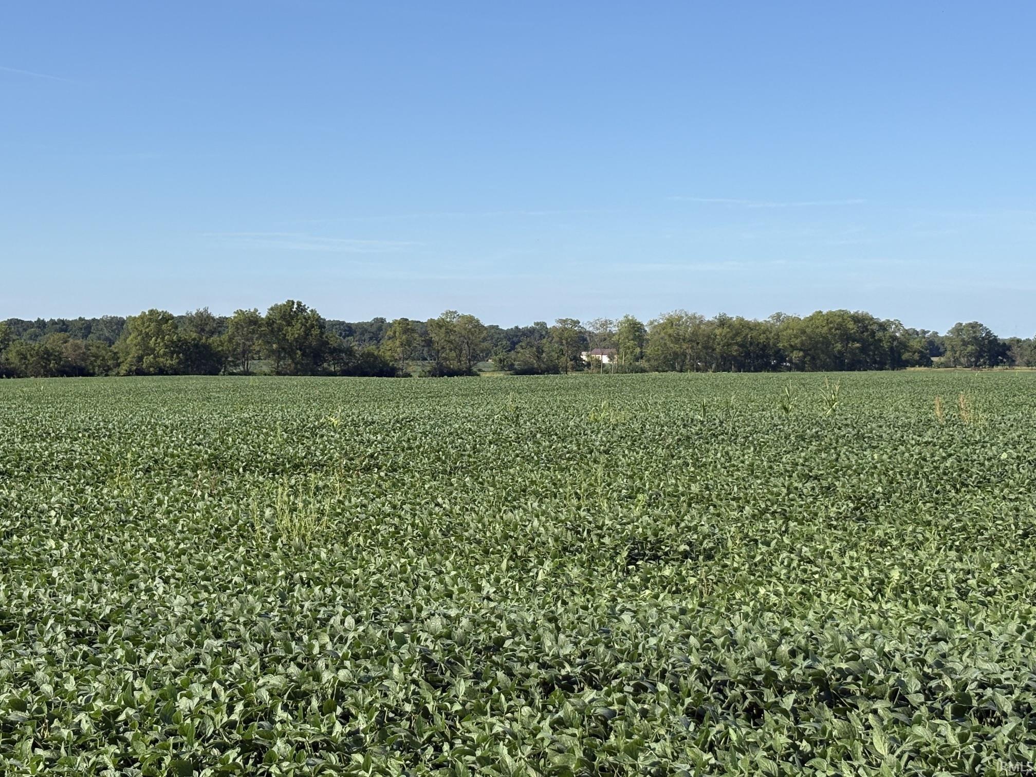 Photo 2 of Sale Pending at 6810 S Warren Rd, Warren, IN 46792 | MLS# 202635030 | Listing updated on 2026-10-02