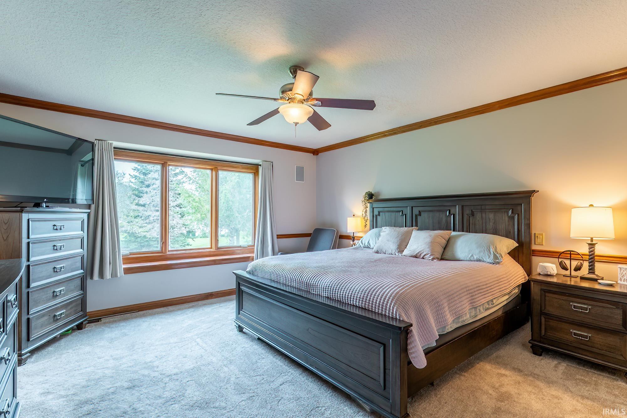 Carpeted flooring, a multi-pane window with wood trim, a ceiling fan with integrated lighting, and crown molding