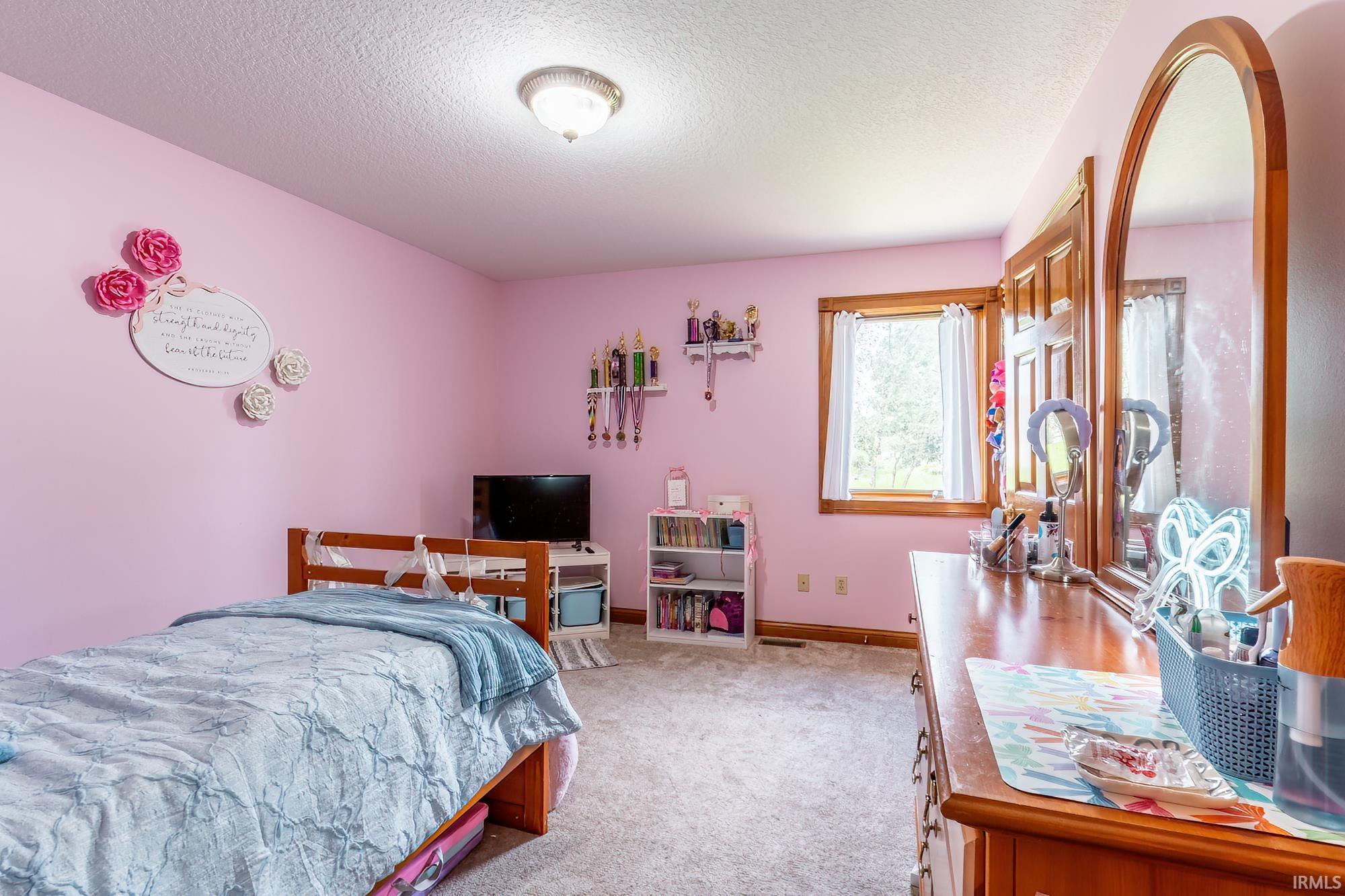 Light-colored carpeting, recessed window with wood-finish trim, and a ceiling-mounted light fixture