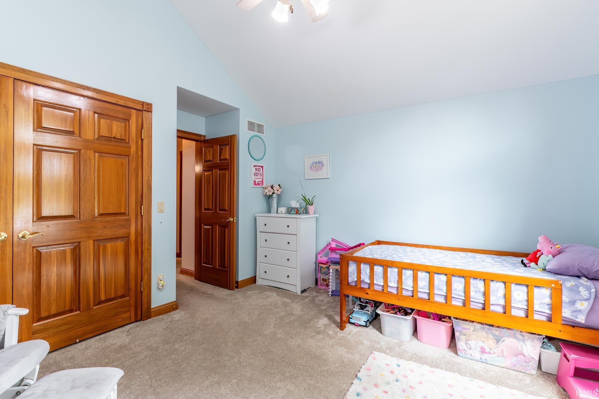 Vaulted ceiling, paneled wood doors, light blue wall paint, and beige carpet