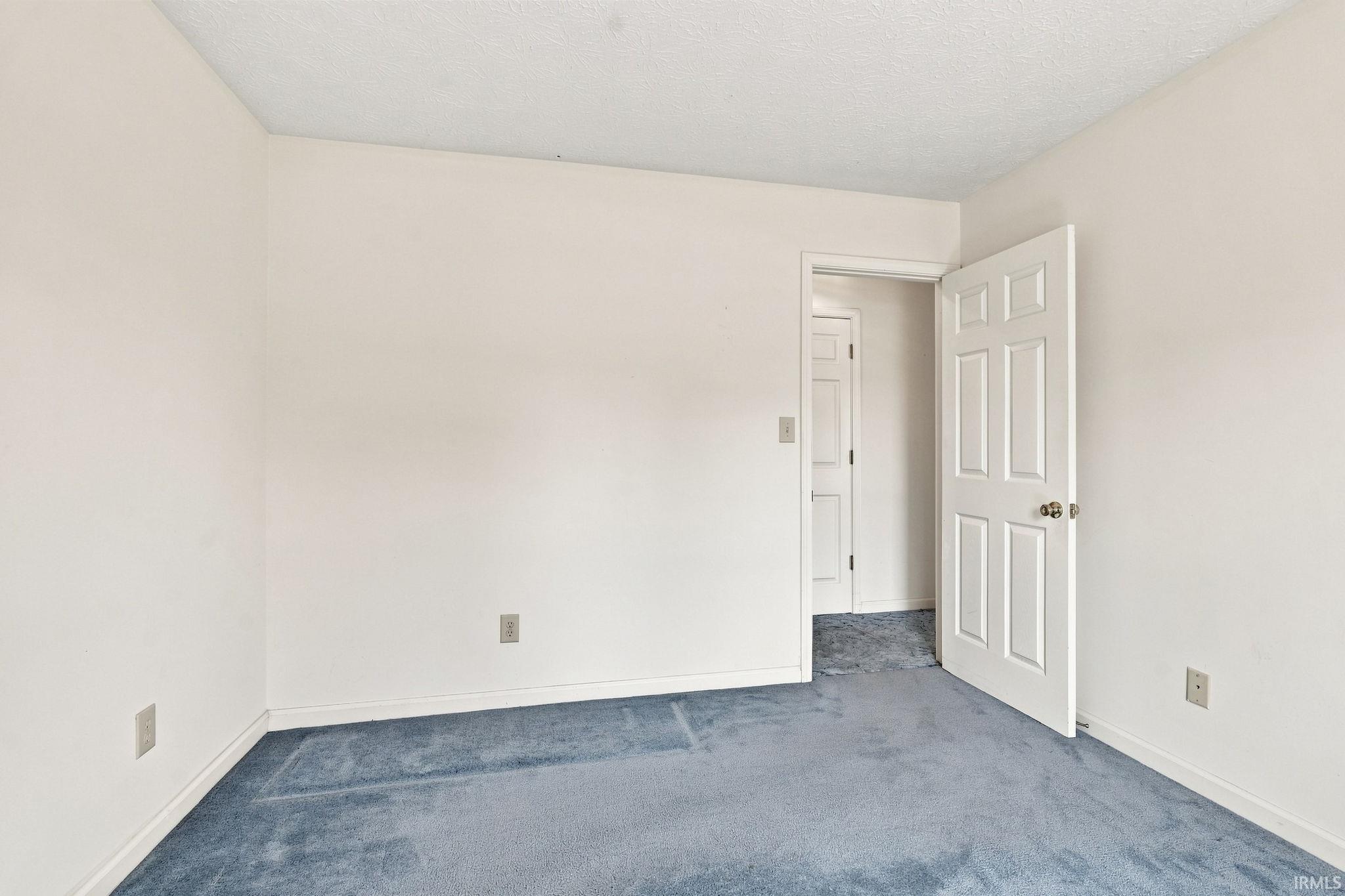 Light-toned walls, blue carpeting, white interior doors, and white trim