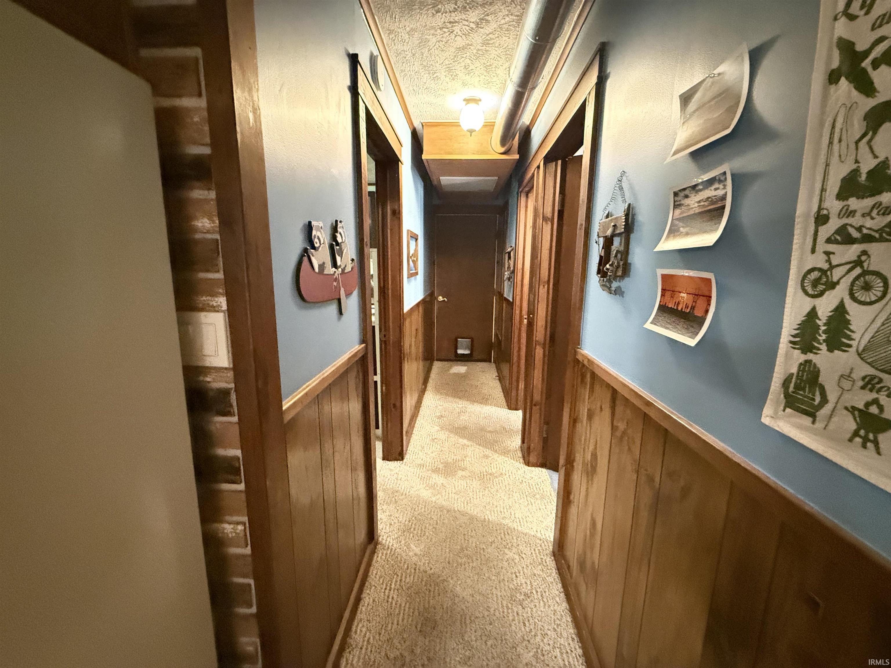 Carpeted hallway with wood paneling and painted walls