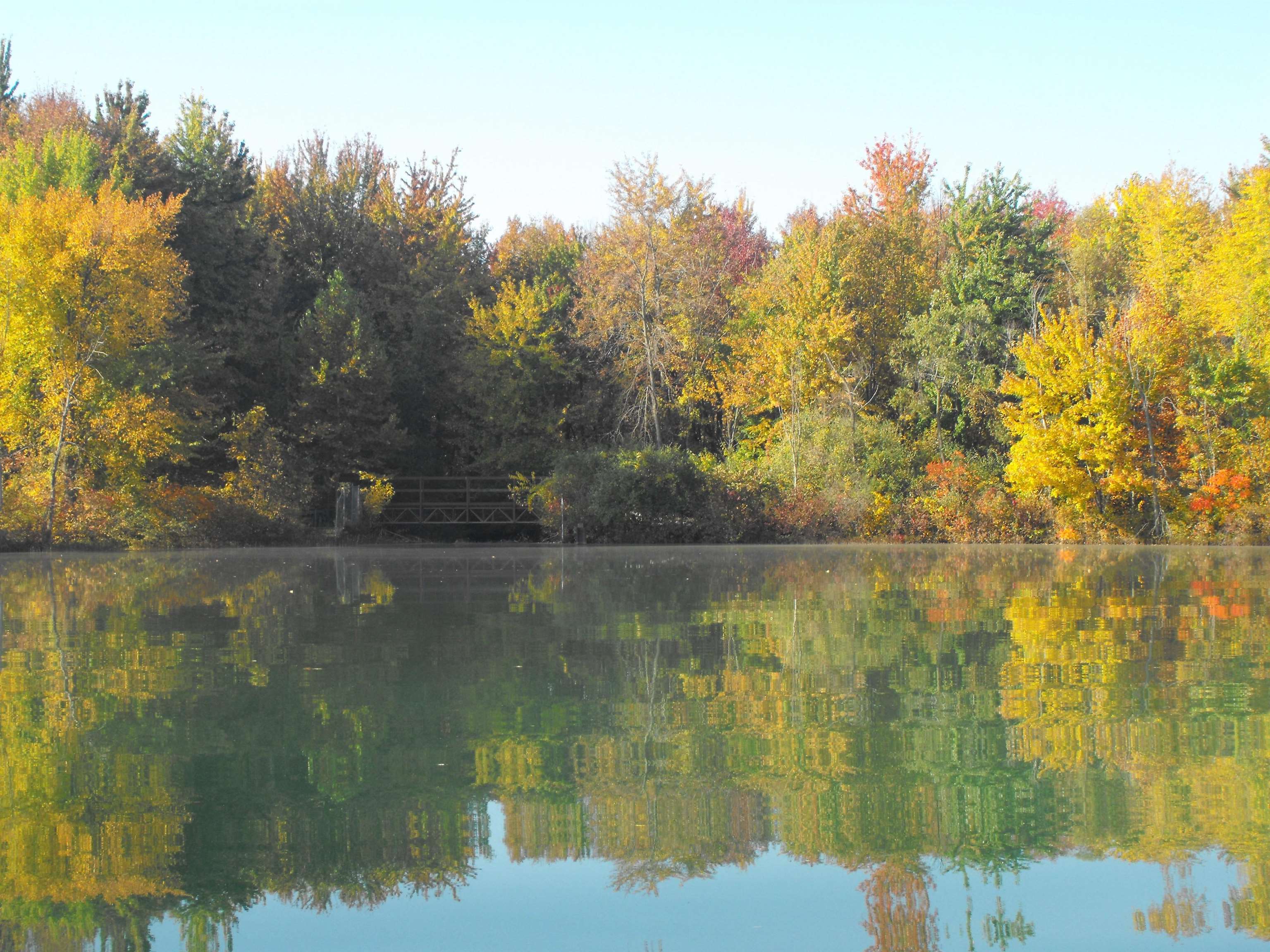 South Twin Lake autumn shoreline