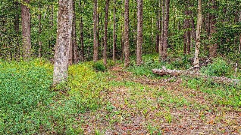 3 W Porter Ridge Road