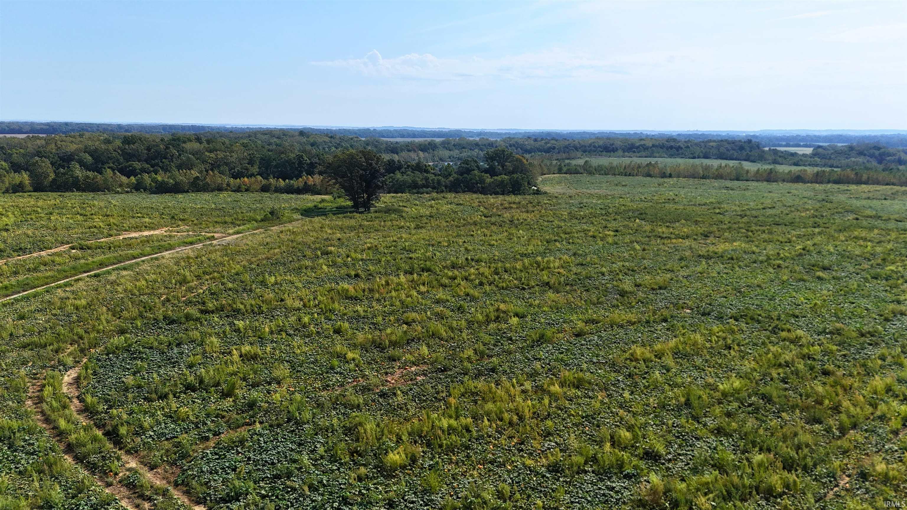 Photo 3 of Land for sale at N Mine Rd, Bicknell, IN 47512 | MLS# 202638242 | Listing updated on 2026-09-16