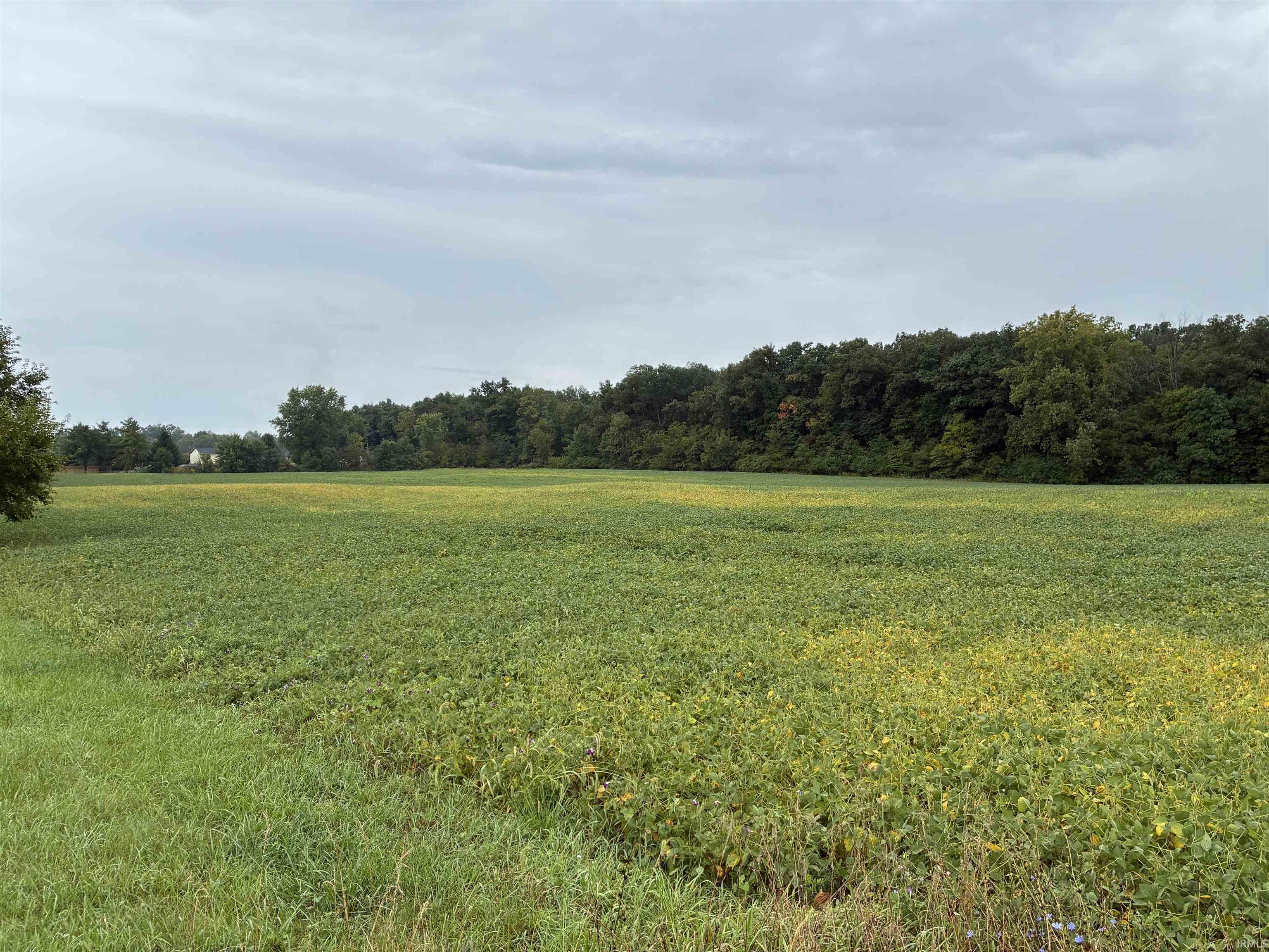 Photo 3 of Land for sale at 9301 N 416 East Rd, Albany, IN 47320 | MLS# 202639137 | Listing updated on 2026-09-22