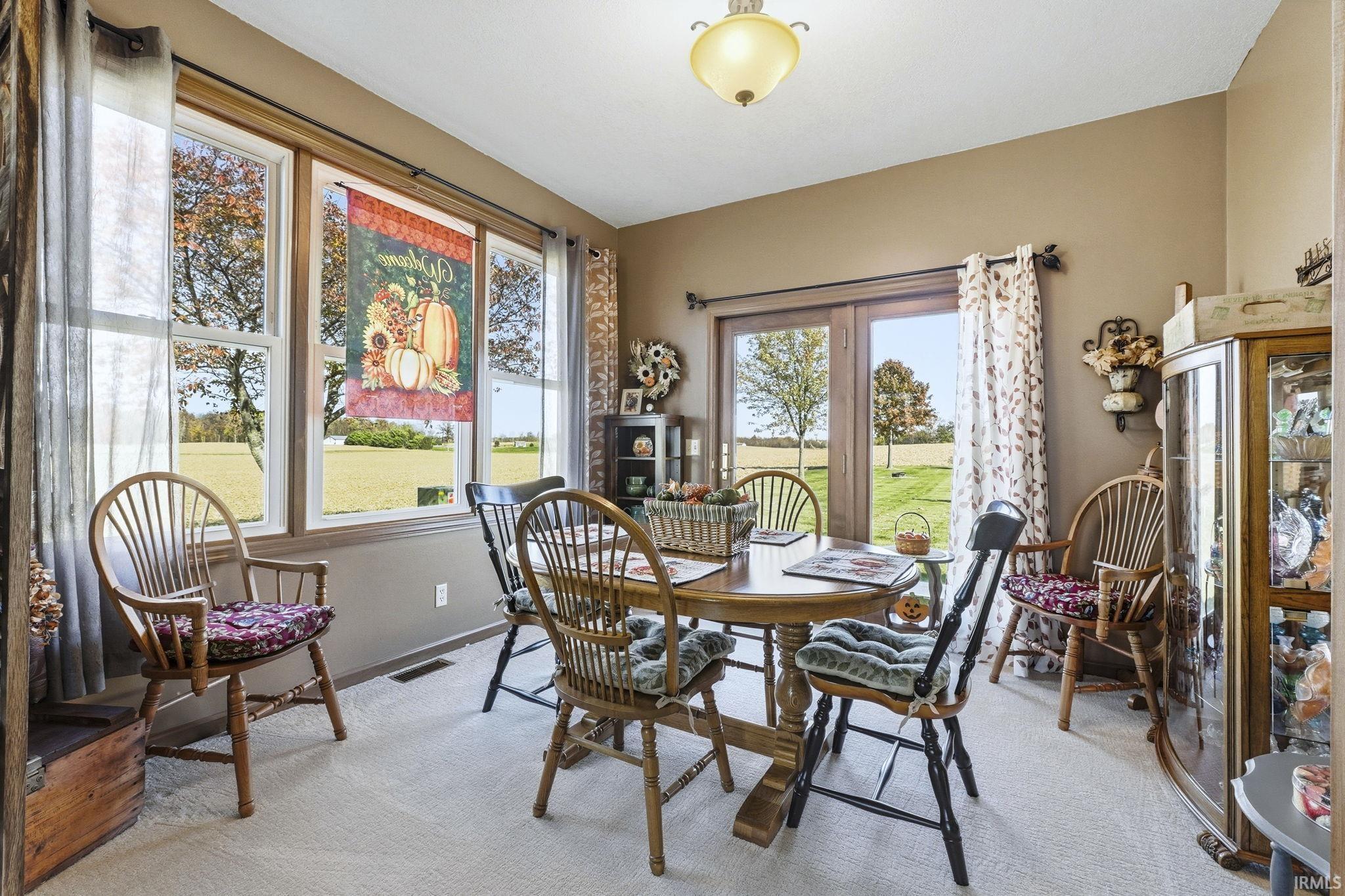 Sun-drenched room featuring large multi-pane windows, double glass-panel doors, neutral carpeting, and a central ceiling-mounted light fixture