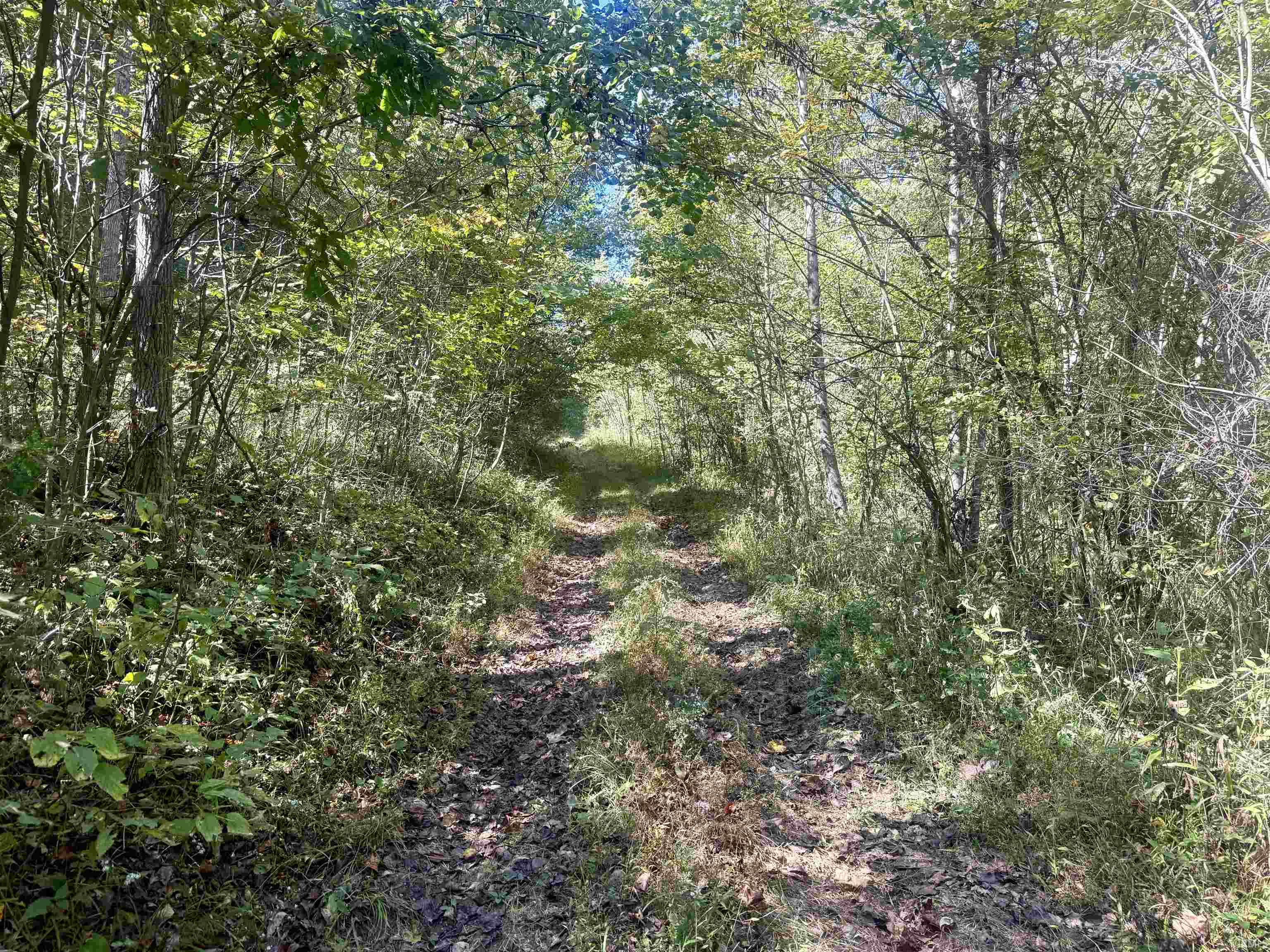 Photo 3 of Sale Pending at Quackenbush Springs Rd, Shoals, IN 47581 | MLS# 202641419 | Listing updated on 2026-10-06