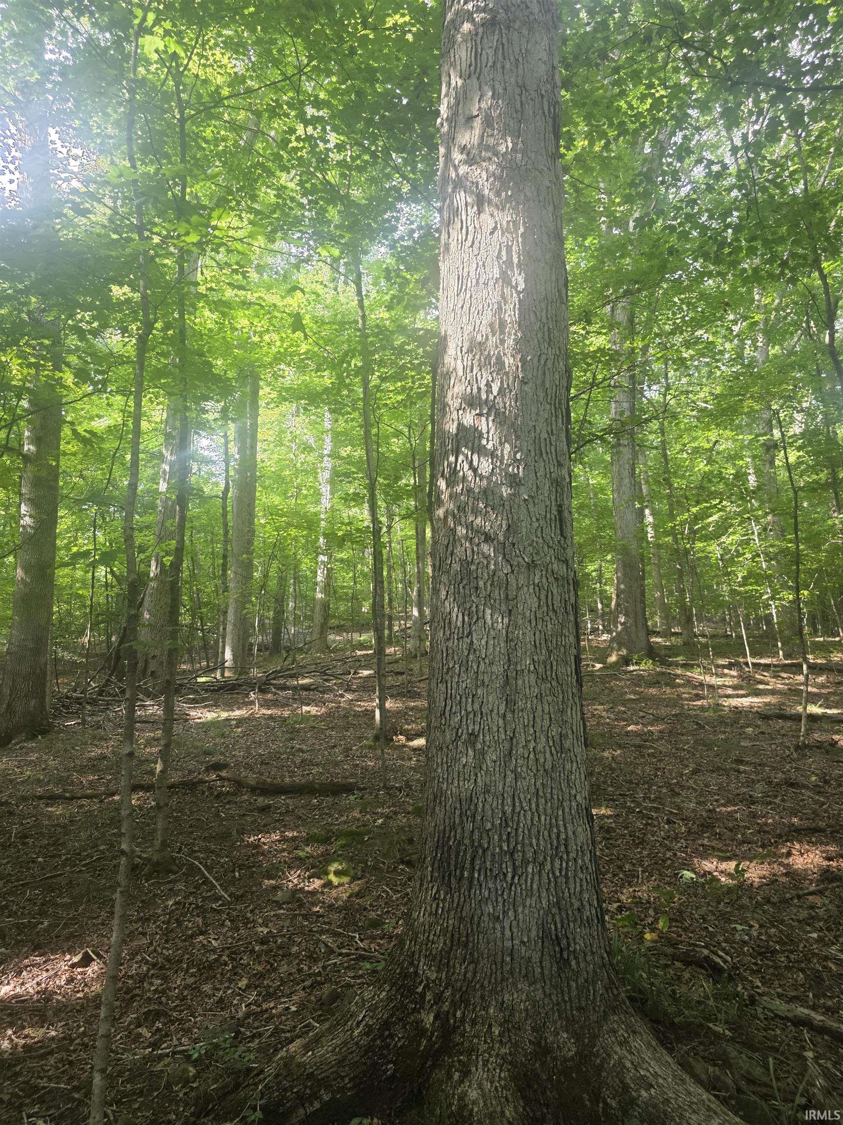 Photo 3 of Sale Pending at 4618 State Rd 550, Shoals, IN 47581 | MLS# 202641528 | Listing updated on 2026-10-07