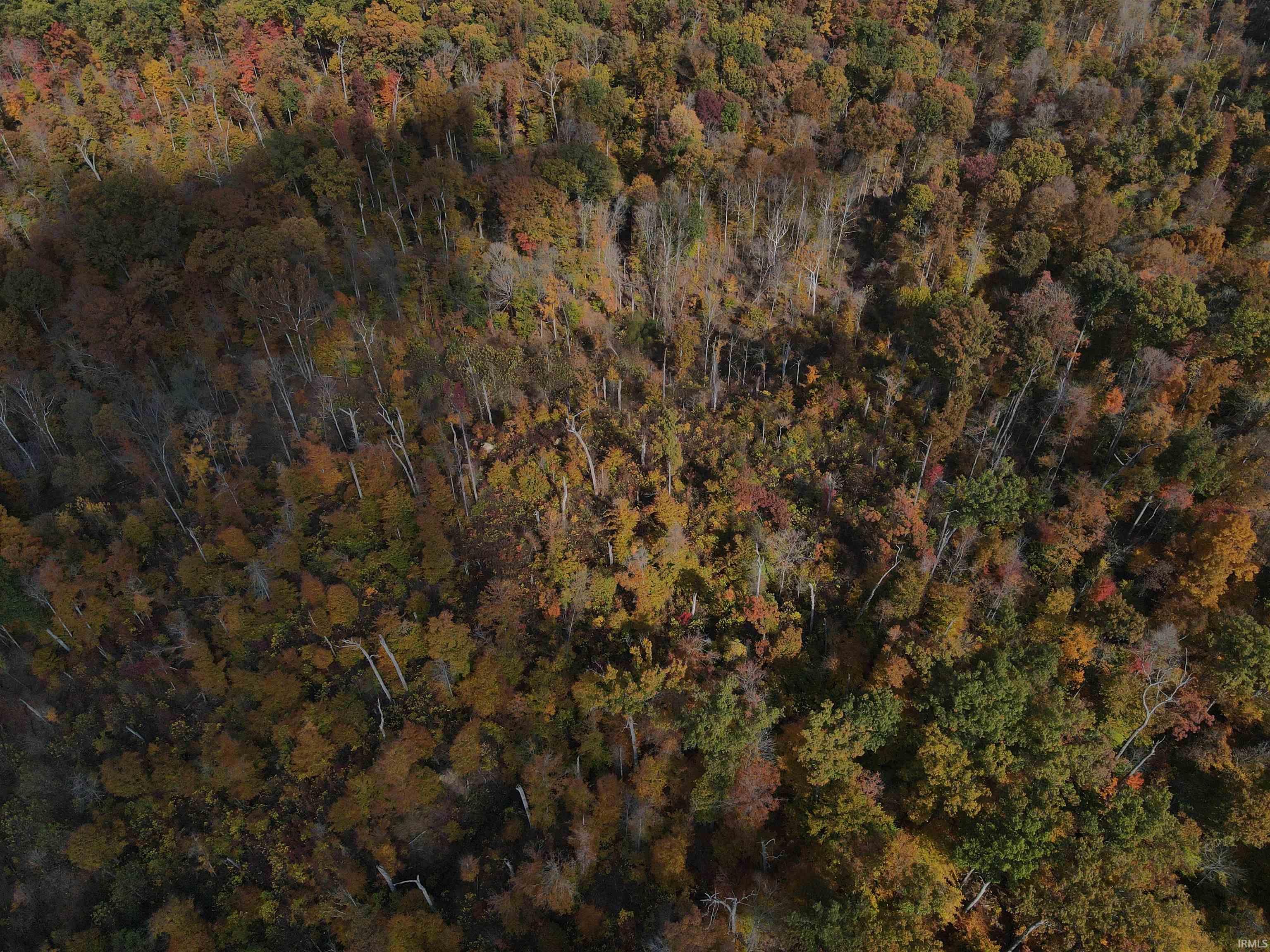 Photo 2 of Land for sale at 687 W Sylvan Ln, Bloomington, IN 47404 | MLS# 202641581 | Listing updated on 2026-10-07