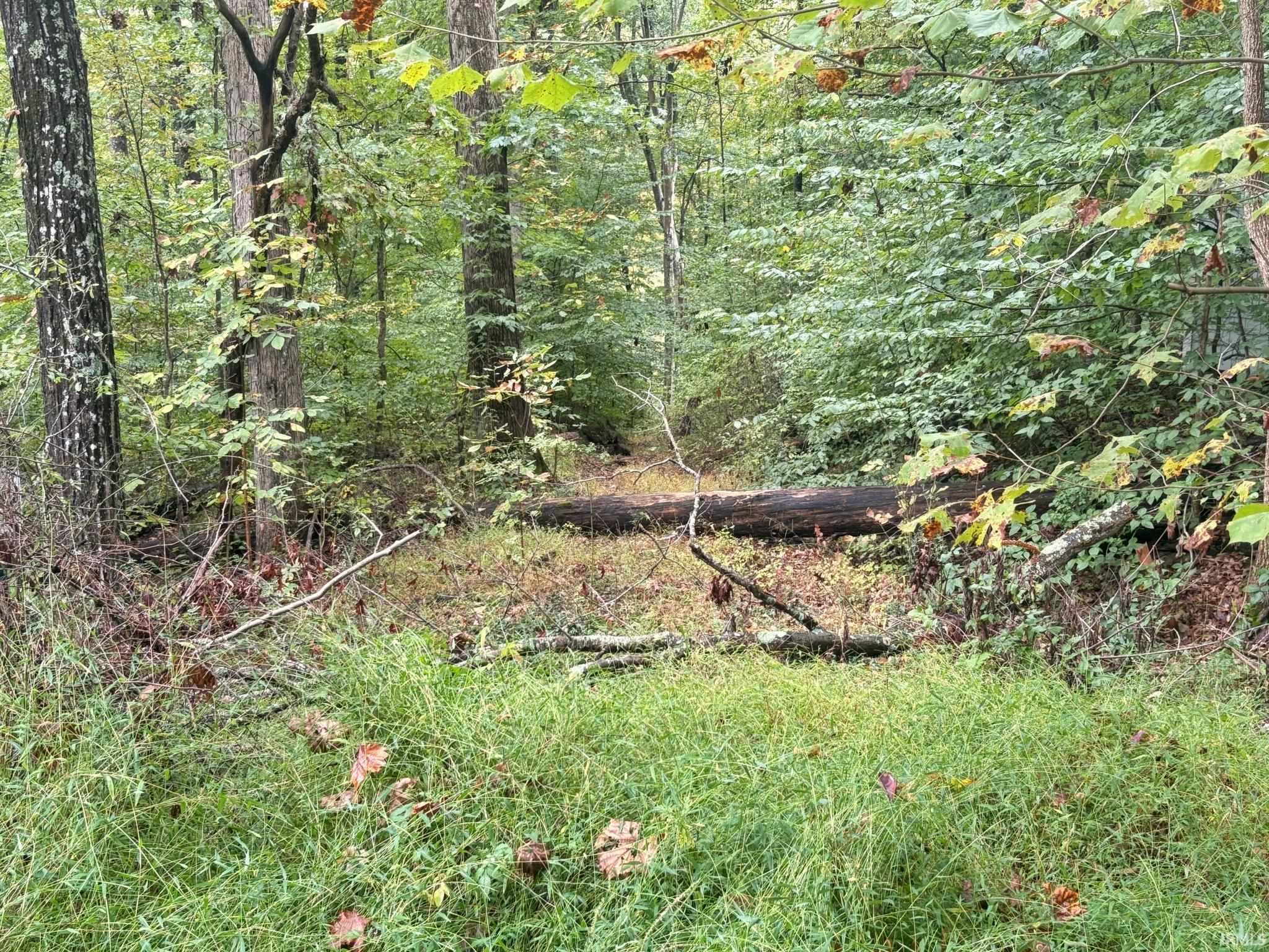 Photo 4 of Land for sale at 687 W Sylvan Ln, Bloomington, IN 47404 | MLS# 202641581 | Listing updated on 2026-10-07