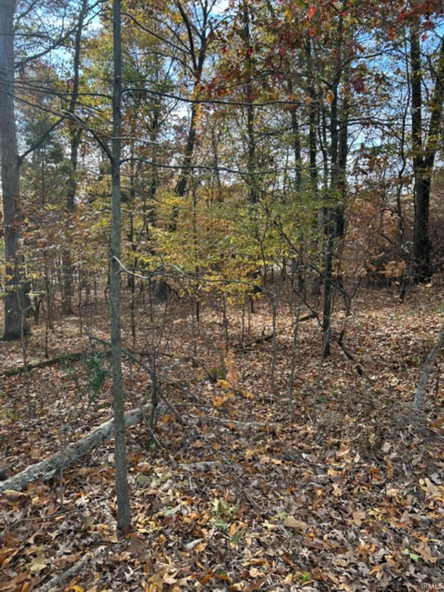 Photo 3 of Land for sale at 0 Prancer Dr S, Santa Claus, IN 47579 | MLS# 202641611 | Listing updated on 2026-10-07