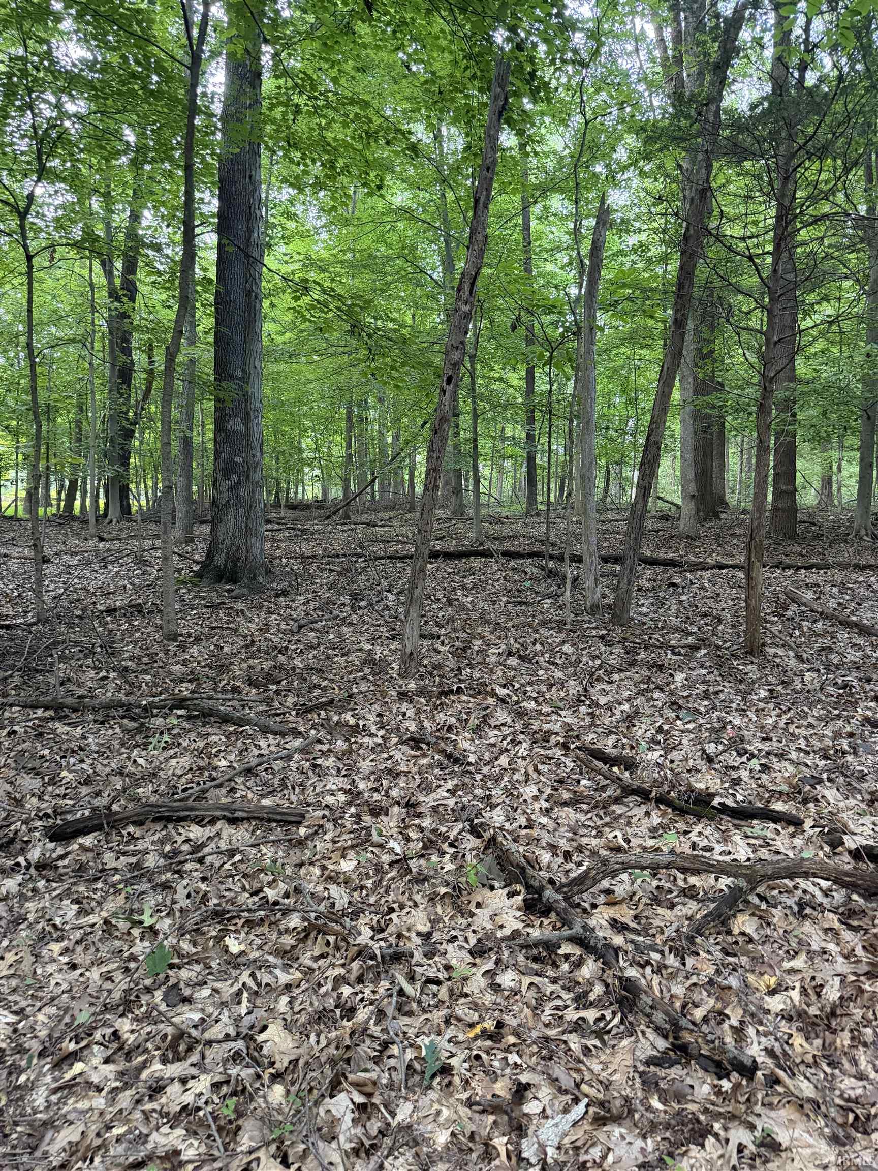 Land for sale at 4378 E Moores Crk Rd, Bloomington, IN 47401 | MLS# 202641800