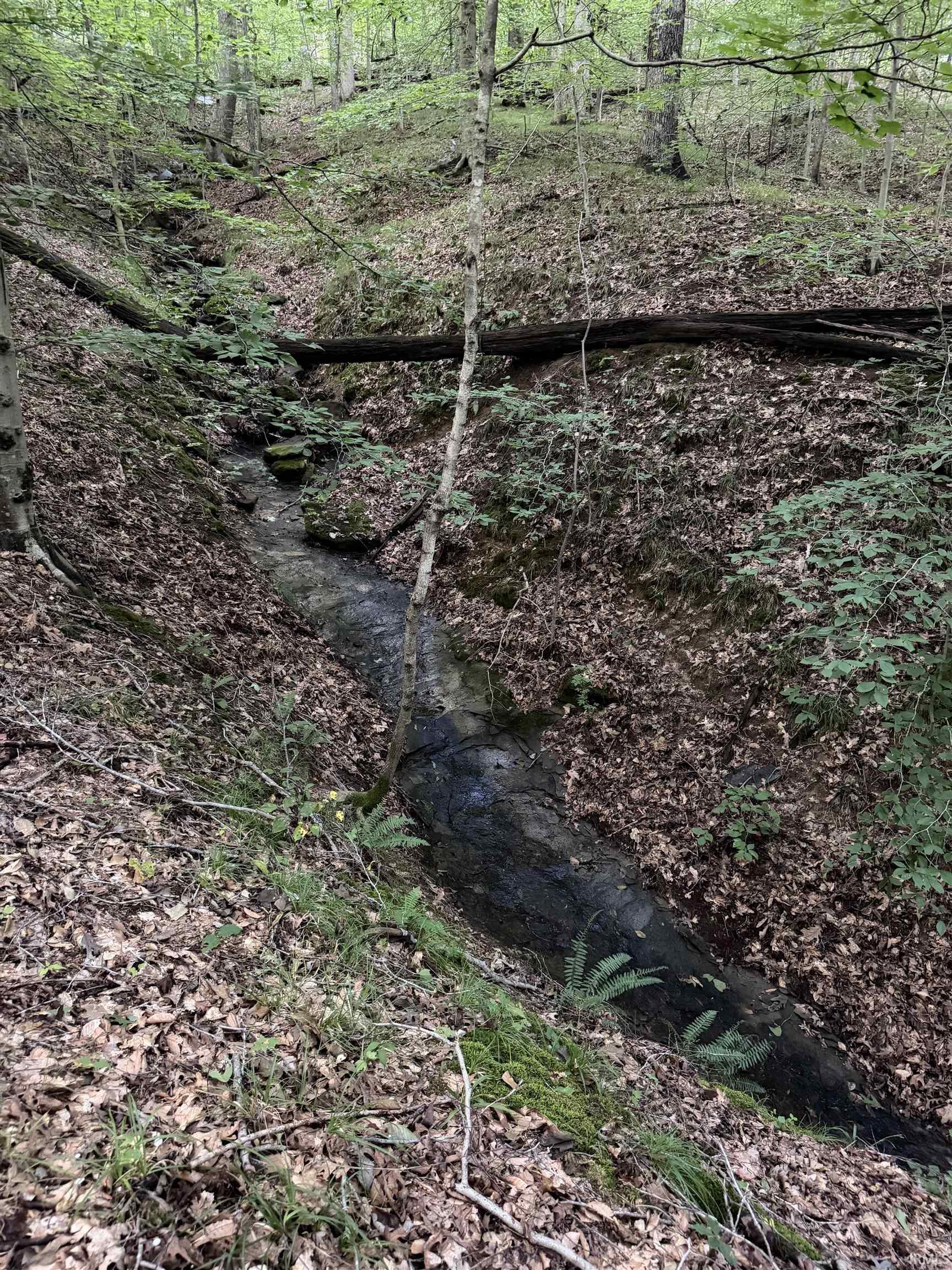 Photo 4 of Land for sale at 4378 E Moores Crk Rd, Bloomington, IN 47401 | MLS# 202641800 | Listing updated on 2026-10-08