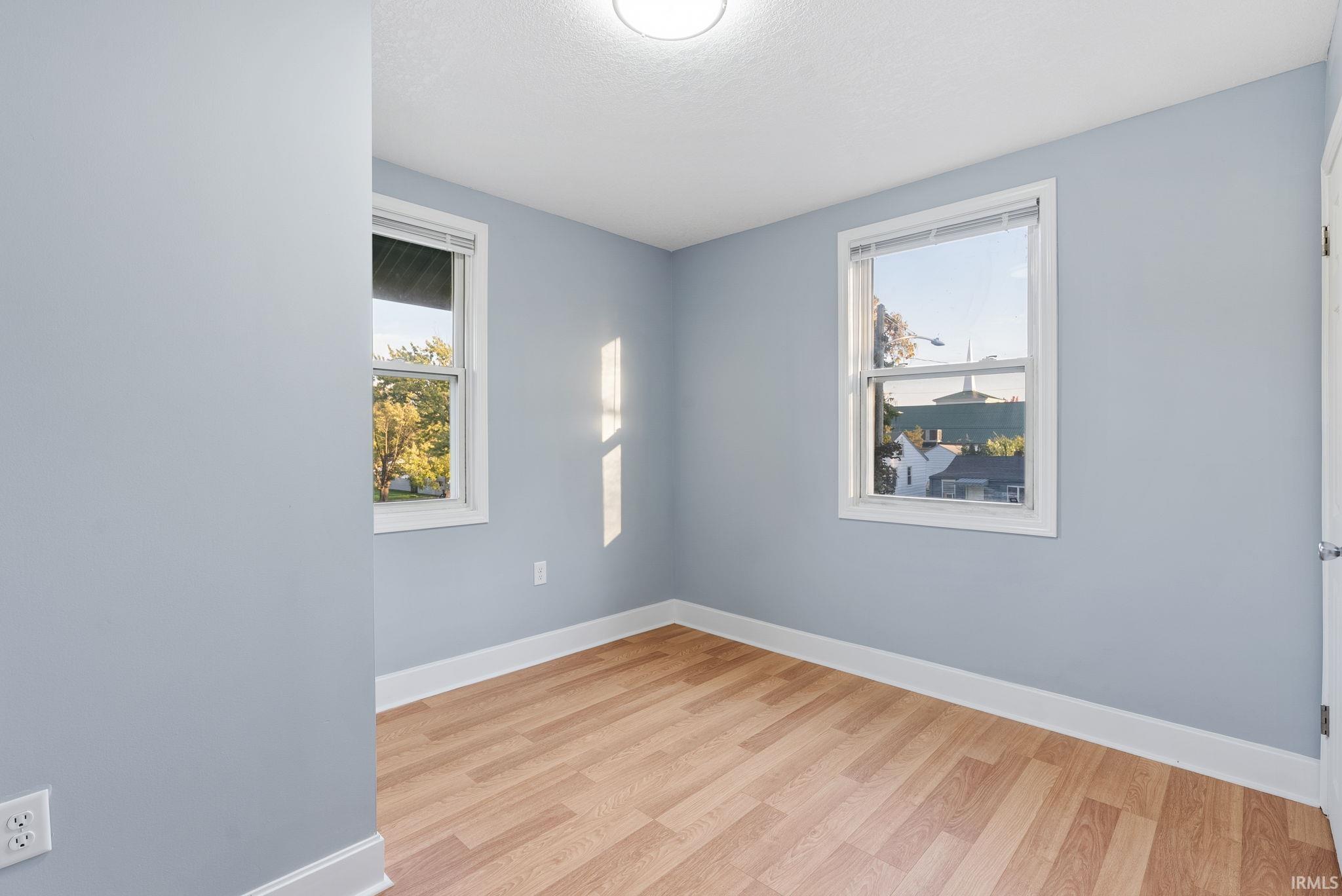 Room featuring light blue walls, wood-finish flooring, two dual-pane windows, and a flush-mount ceiling light fixture
