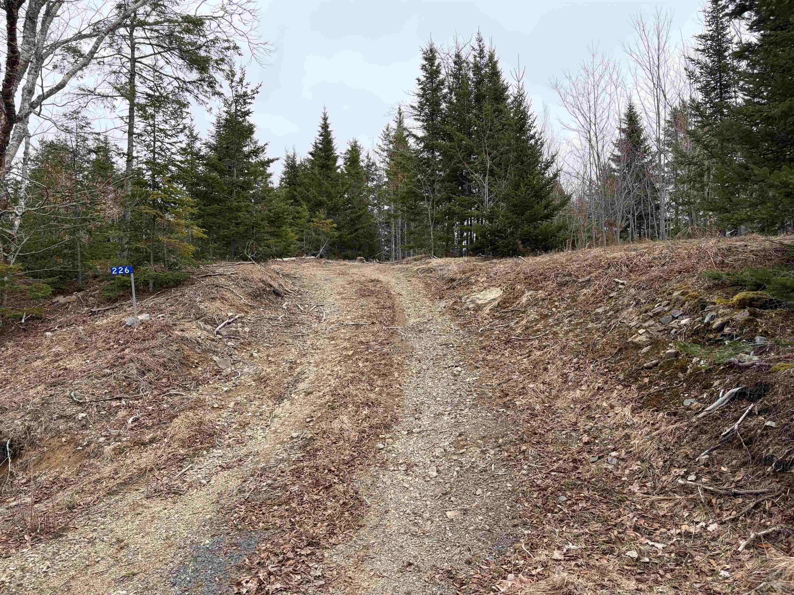 $61,900.00: Lot 22-3 226 Brookville Branch Road, Bridgeville
