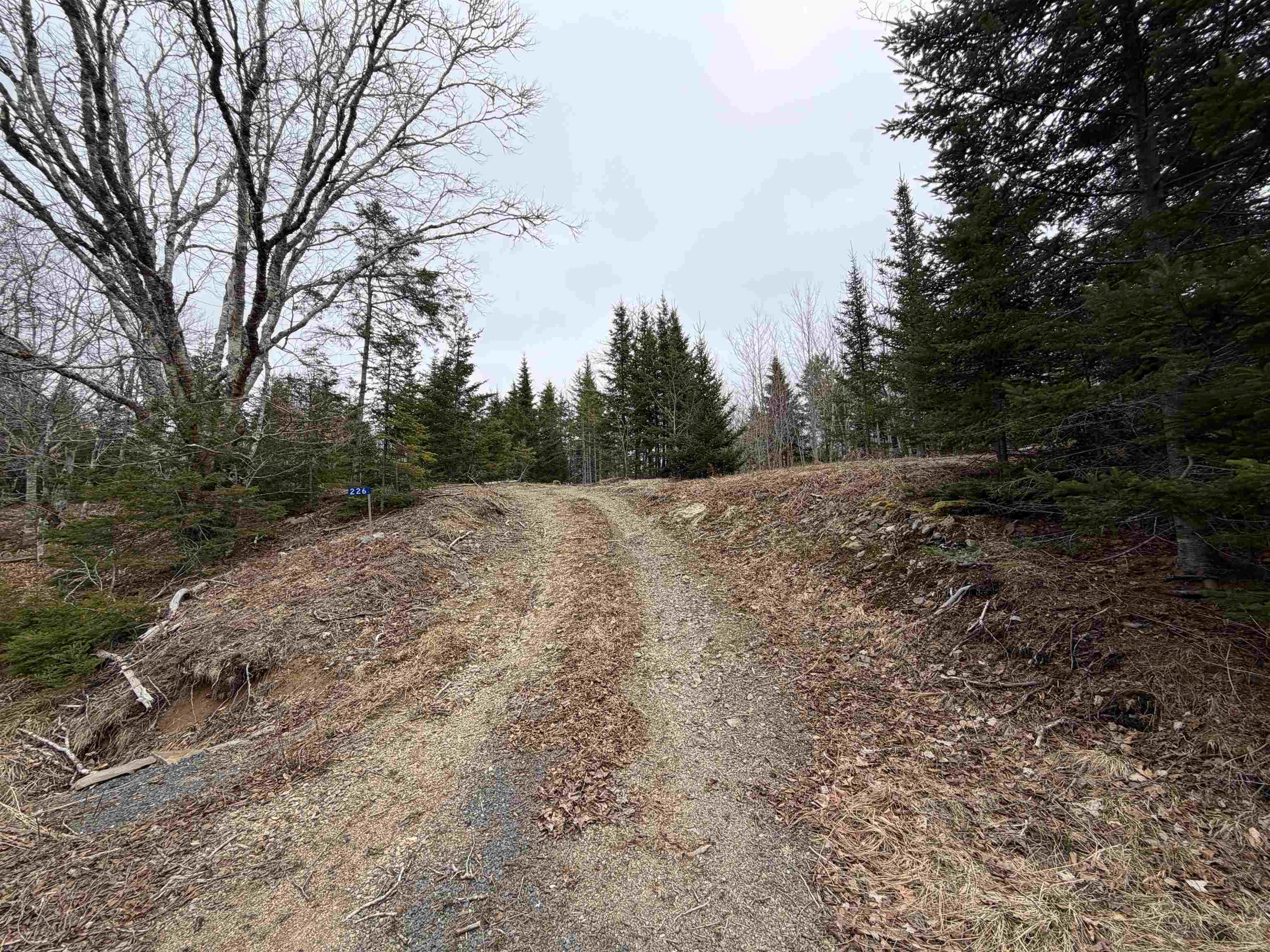 $61,900.00: Lot 22-3 226 Brookville Branch Road, Bridgeville