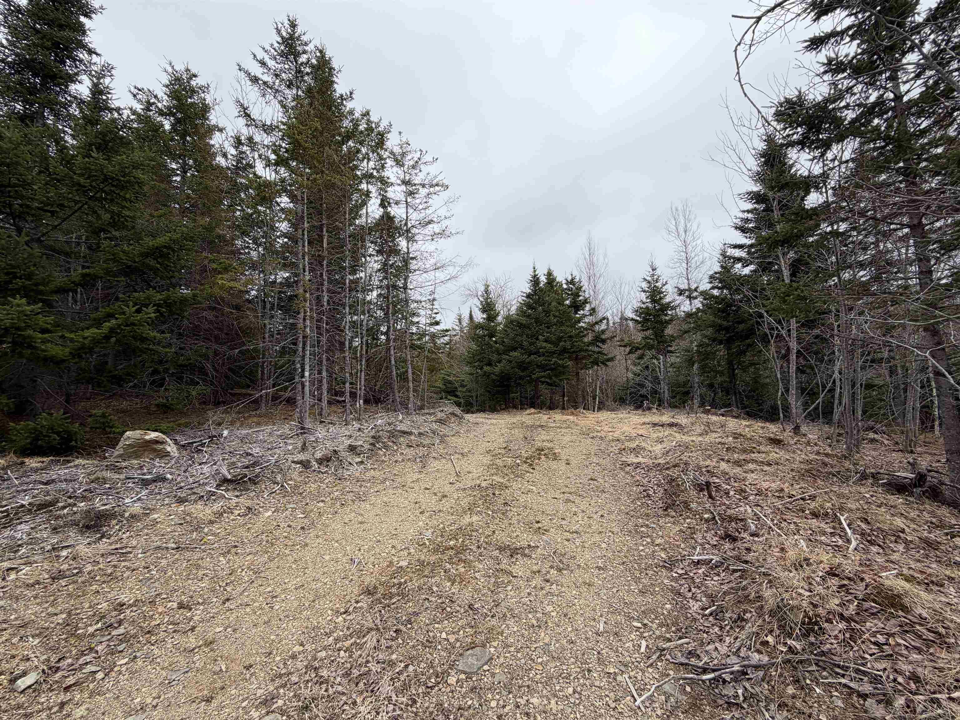 $61,900.00: Lot 22-3 226 Brookville Branch Road, Bridgeville