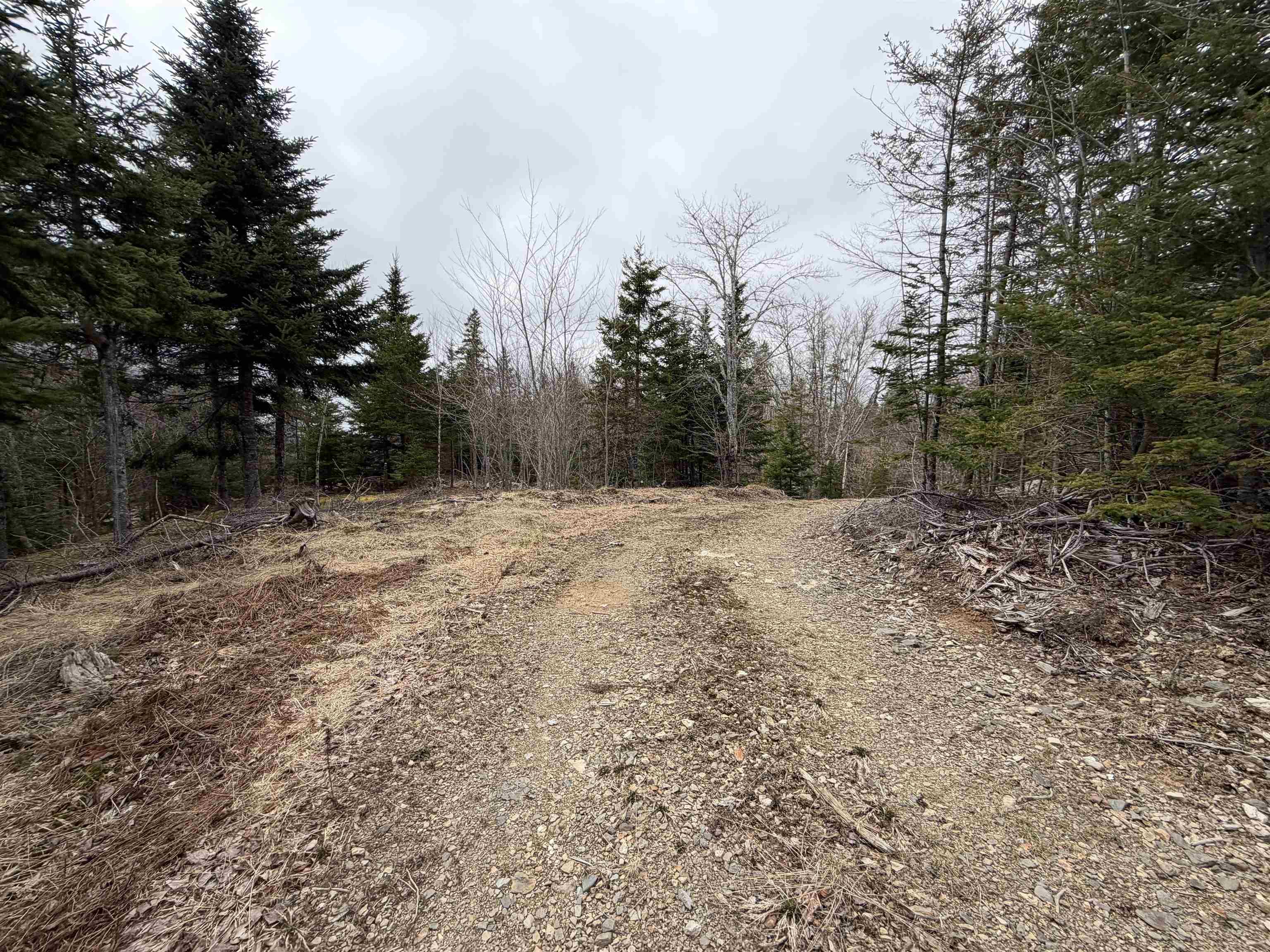 $61,900.00: Lot 22-3 226 Brookville Branch Road, Bridgeville