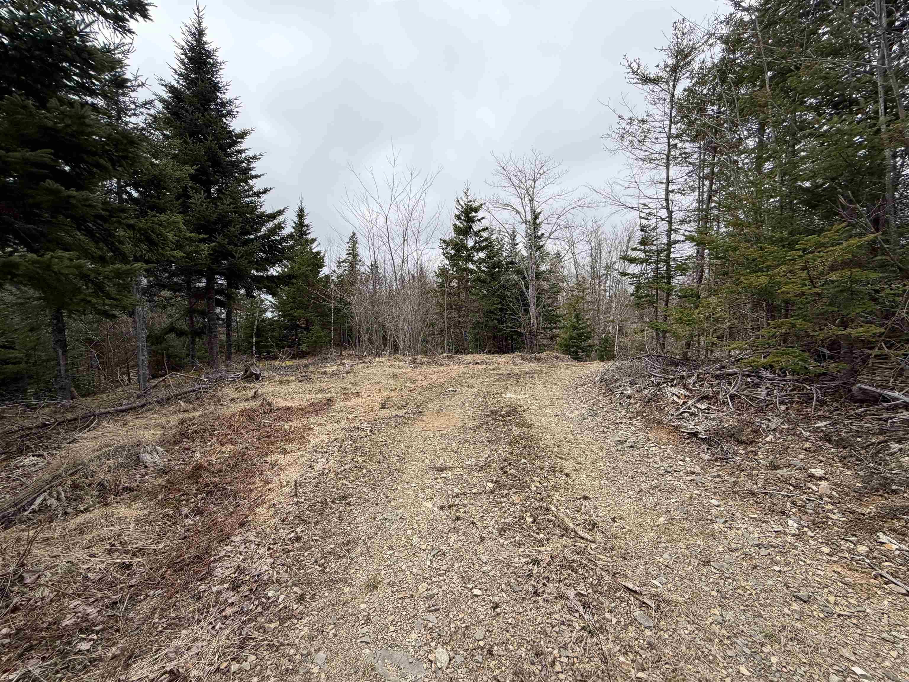 $61,900.00: Lot 22-3 226 Brookville Branch Road, Bridgeville