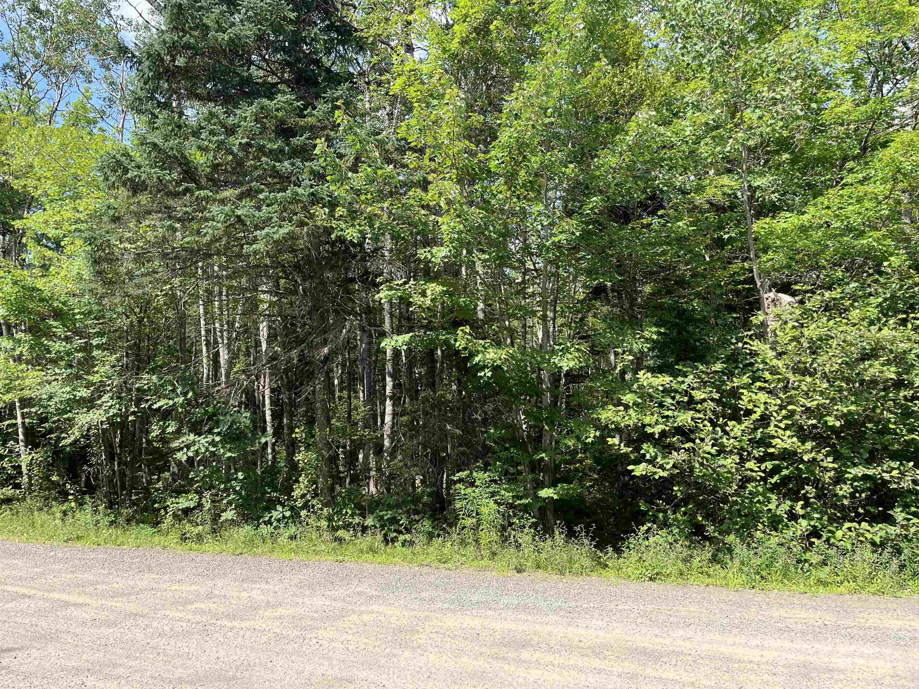 7 Lot 7 Butler Road Road, Forest Home, NS (MLS® 202307831) | Forest Home Real Estate | RE/MAX Halifax