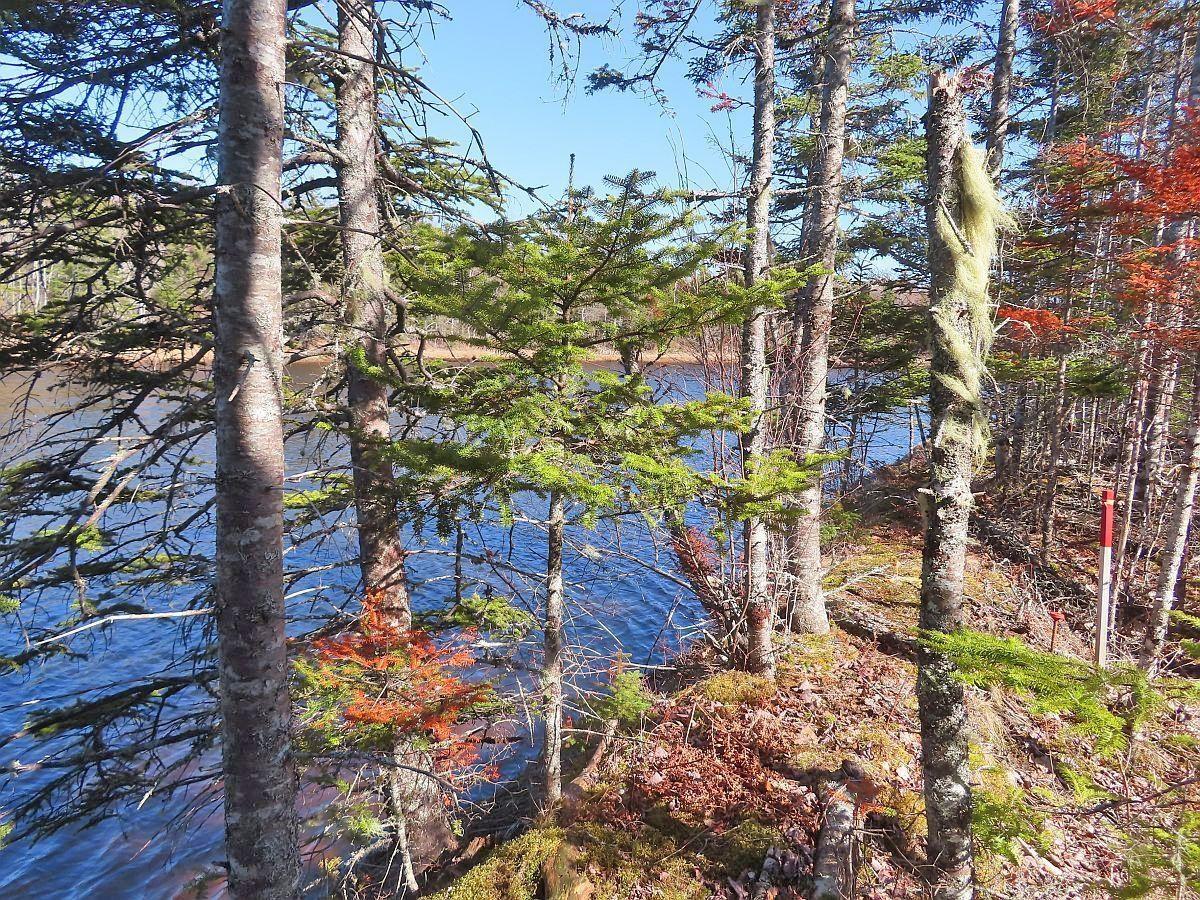 $65,000.00: Lot5 Lower River Road, Grantville