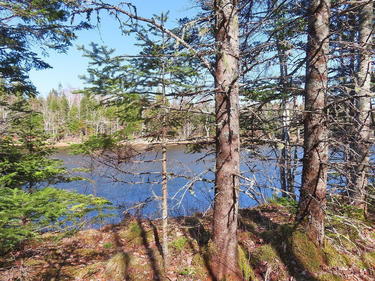 $65,000.00: Lot5 Lower River Road, Grantville