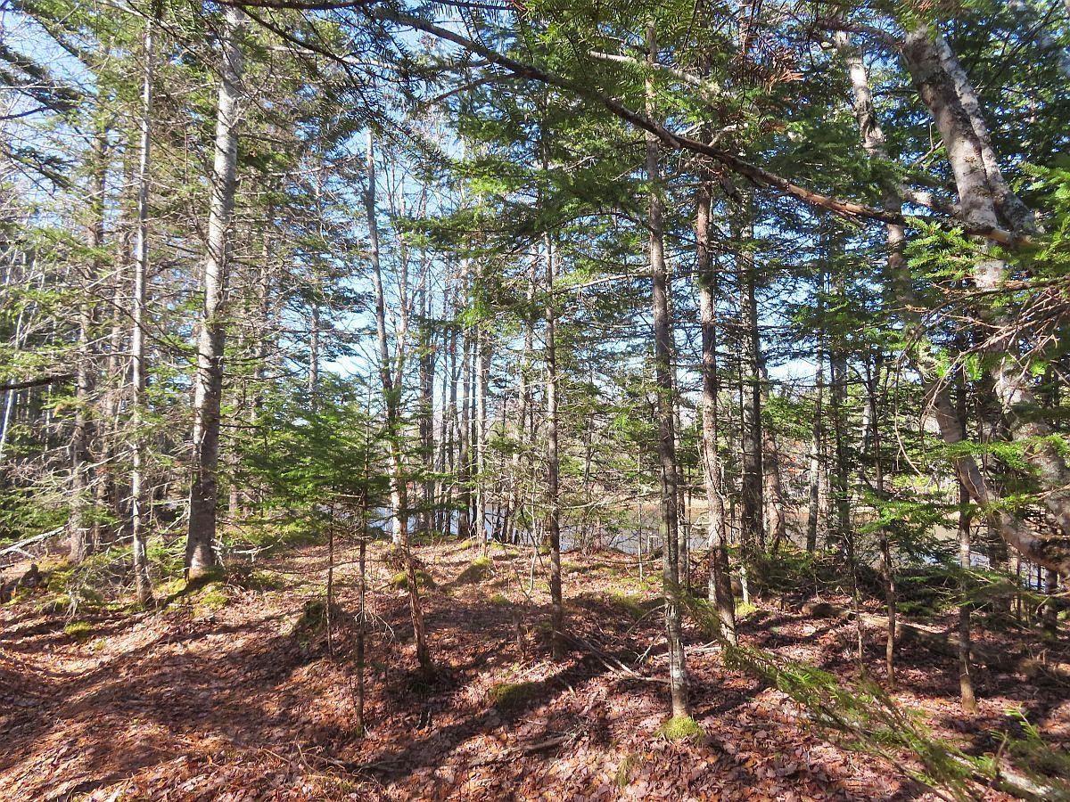 $65,000.00: Lot5 Lower River Road, Grantville