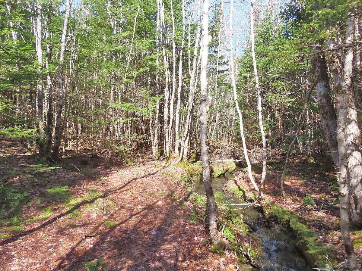 $65,000.00: Lot5 Lower River Road, Grantville