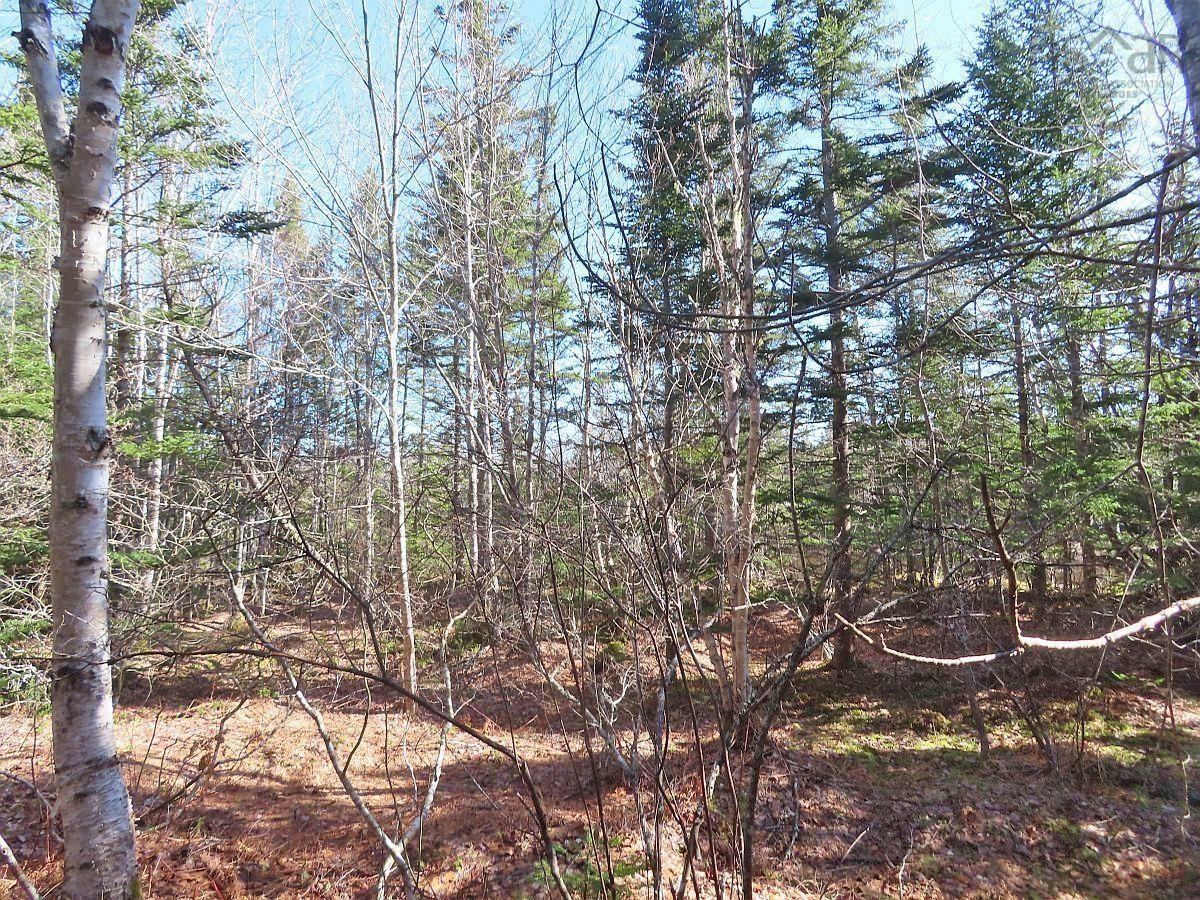$65,000.00: Lot5 Lower River Road, Grantville