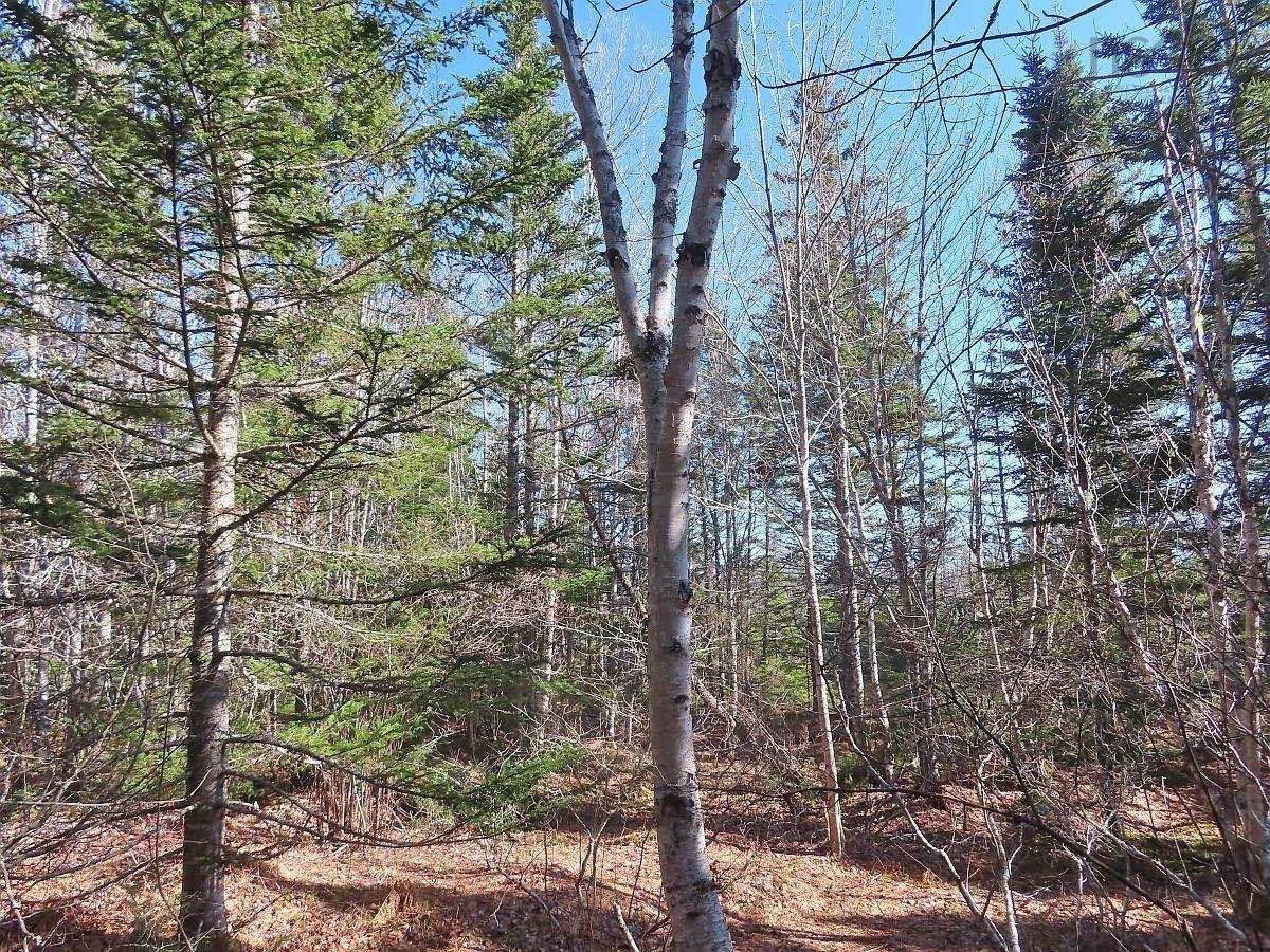 $65,000.00: Lot5 Lower River Road, Grantville