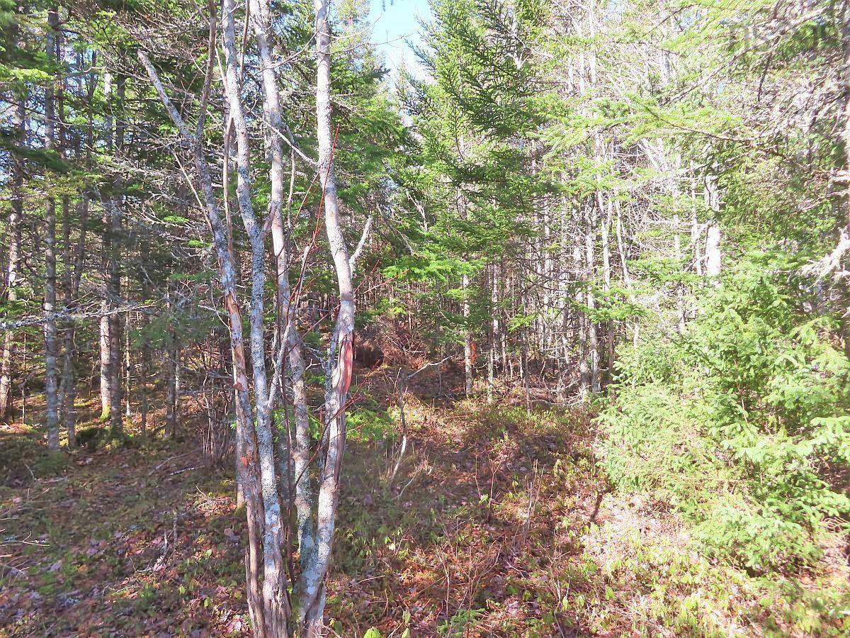 $65,000.00: Lot5 Lower River Road, Grantville