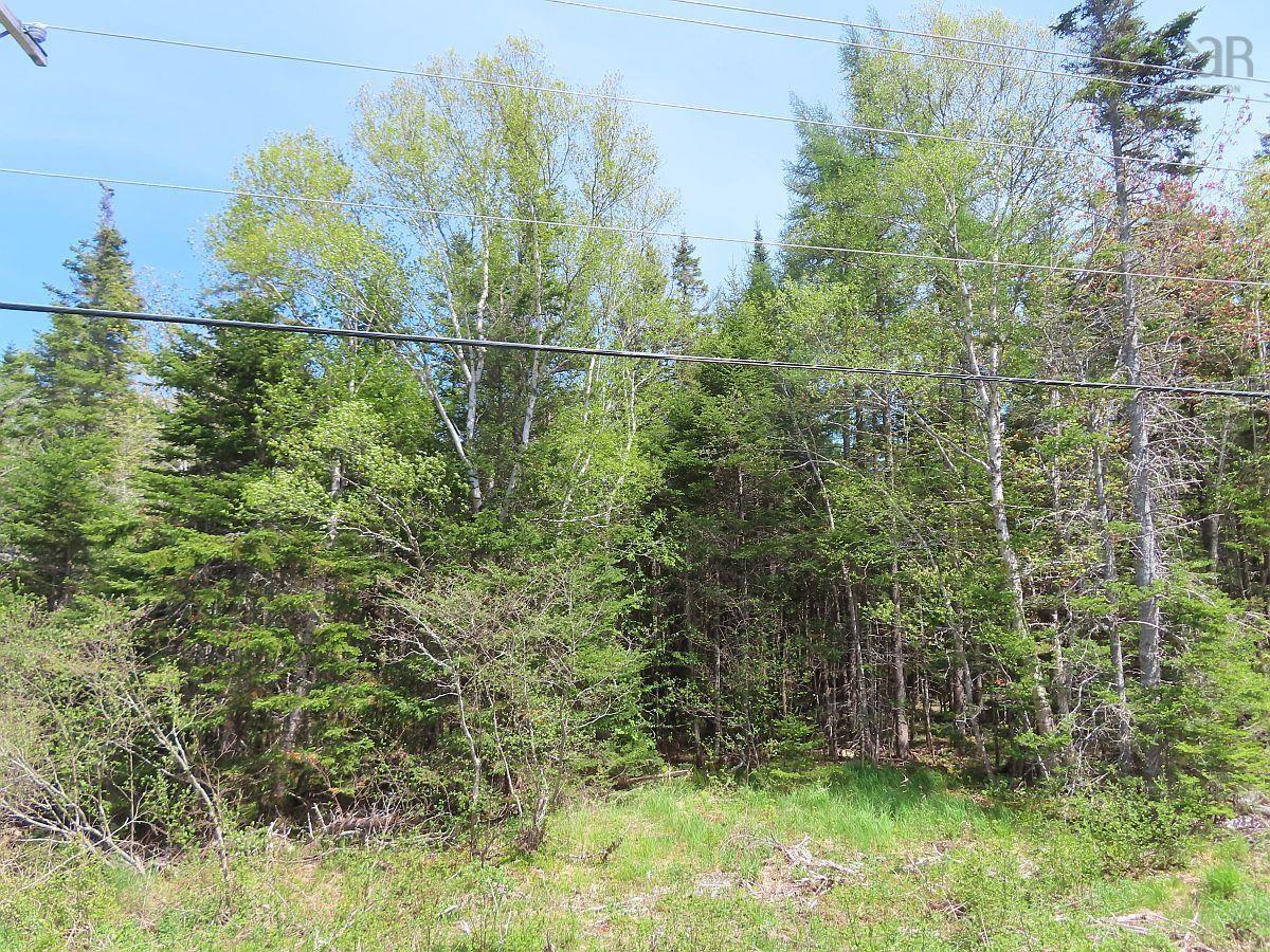 $65,000.00: Lot5 Lower River Road, Grantville