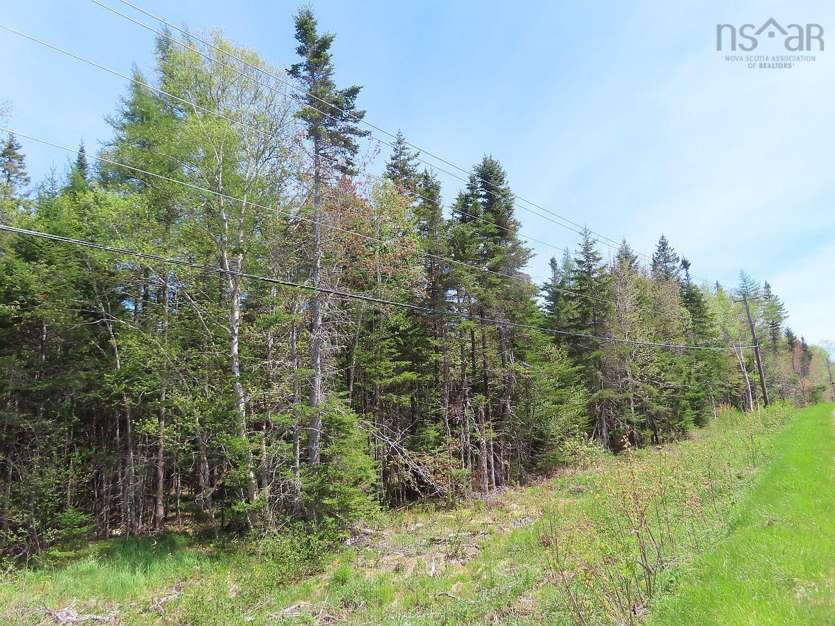 $65,000.00: Lot5 Lower River Road, Grantville