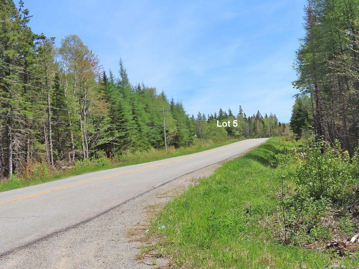 $65,000.00: Lot5 Lower River Road, Grantville