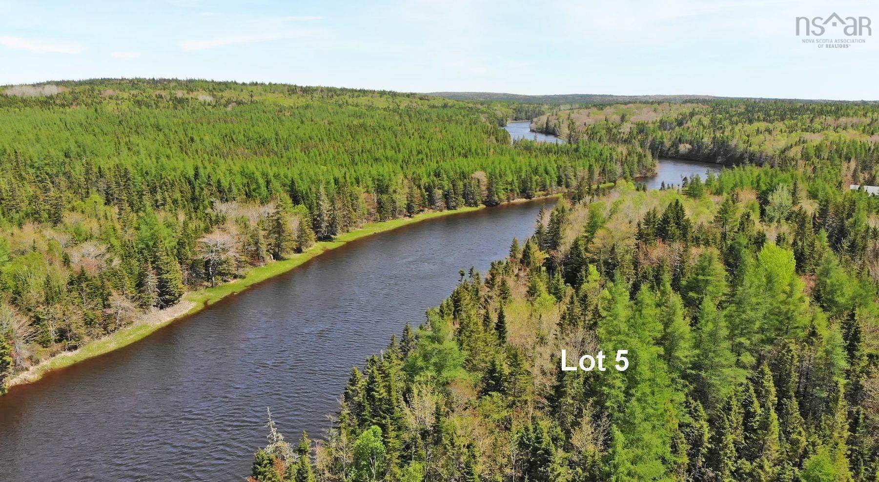 $65,000.00: Lot5 Lower River Road, Grantville