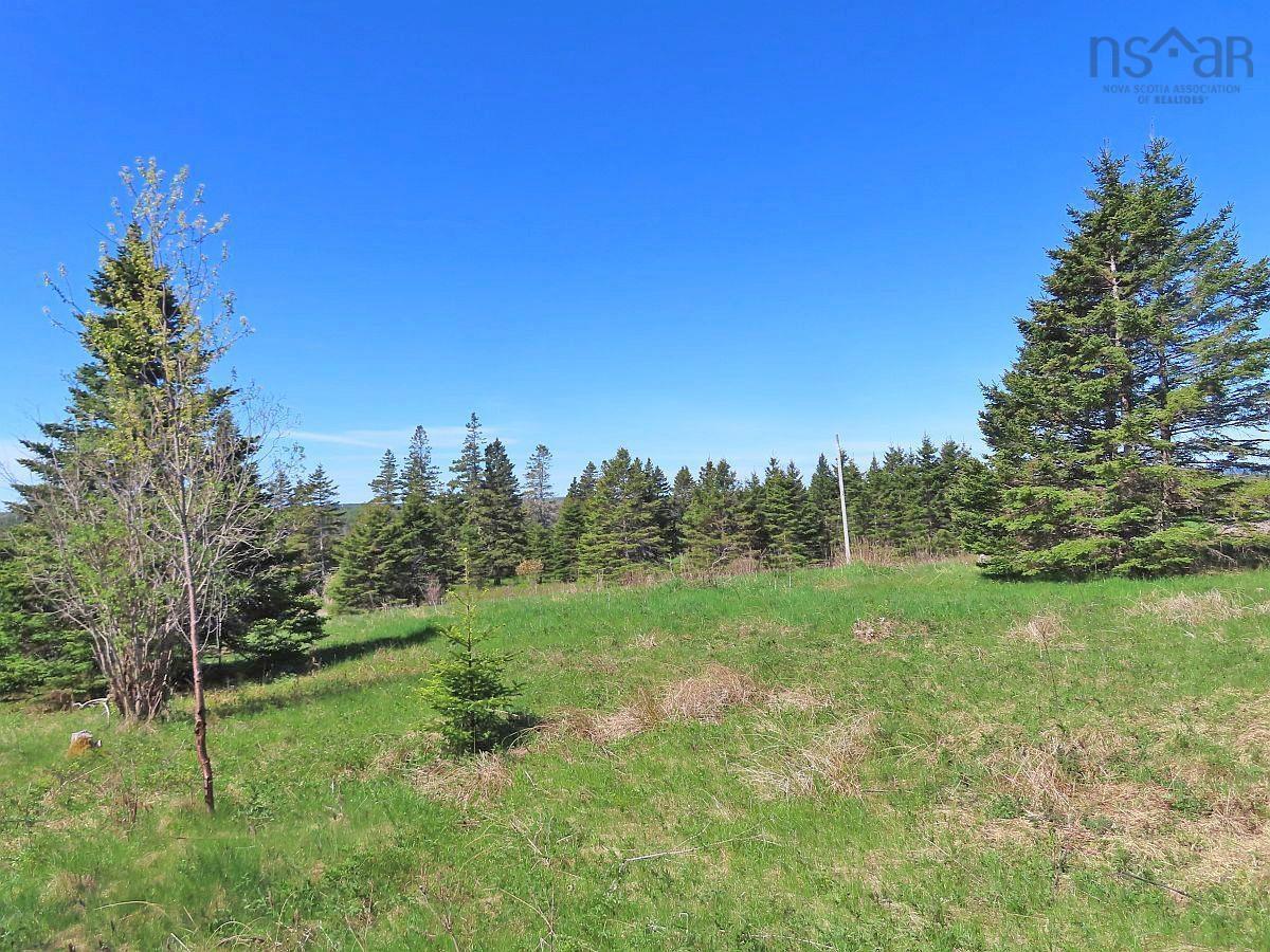 $89,500.00: LOT 4 Highway 4, Soldiers Cove