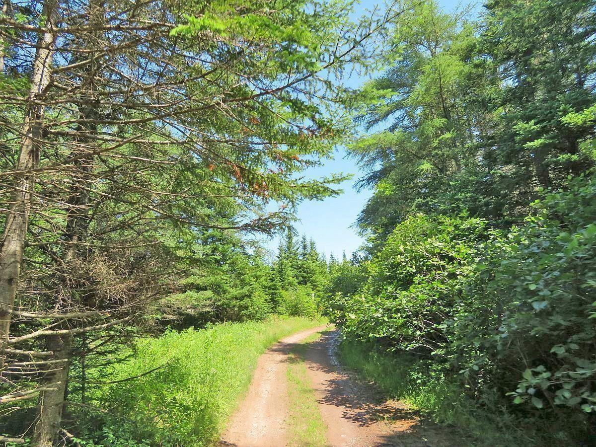 $89,500.00: LOT 4 Highway 4, Soldiers Cove
