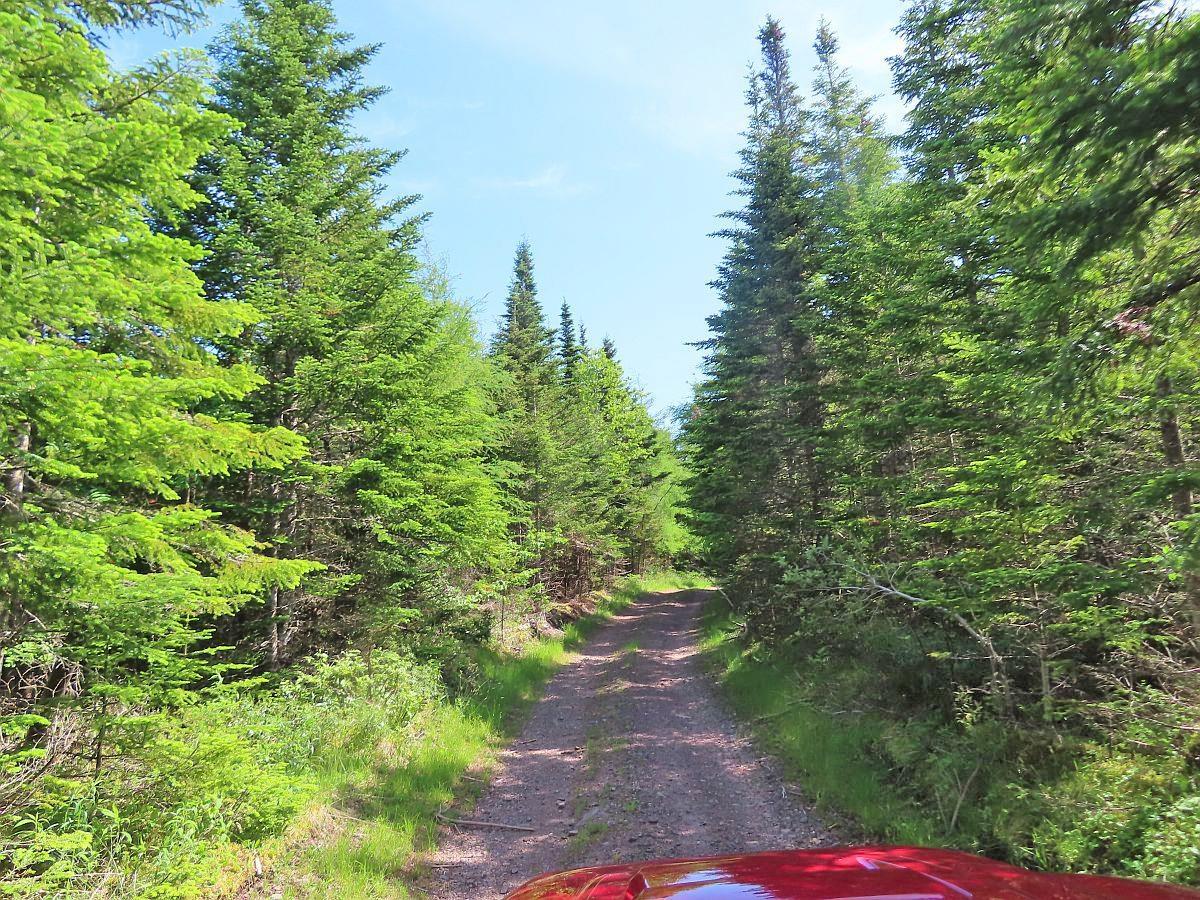 $89,500.00: LOT 4 Highway 4, Soldiers Cove