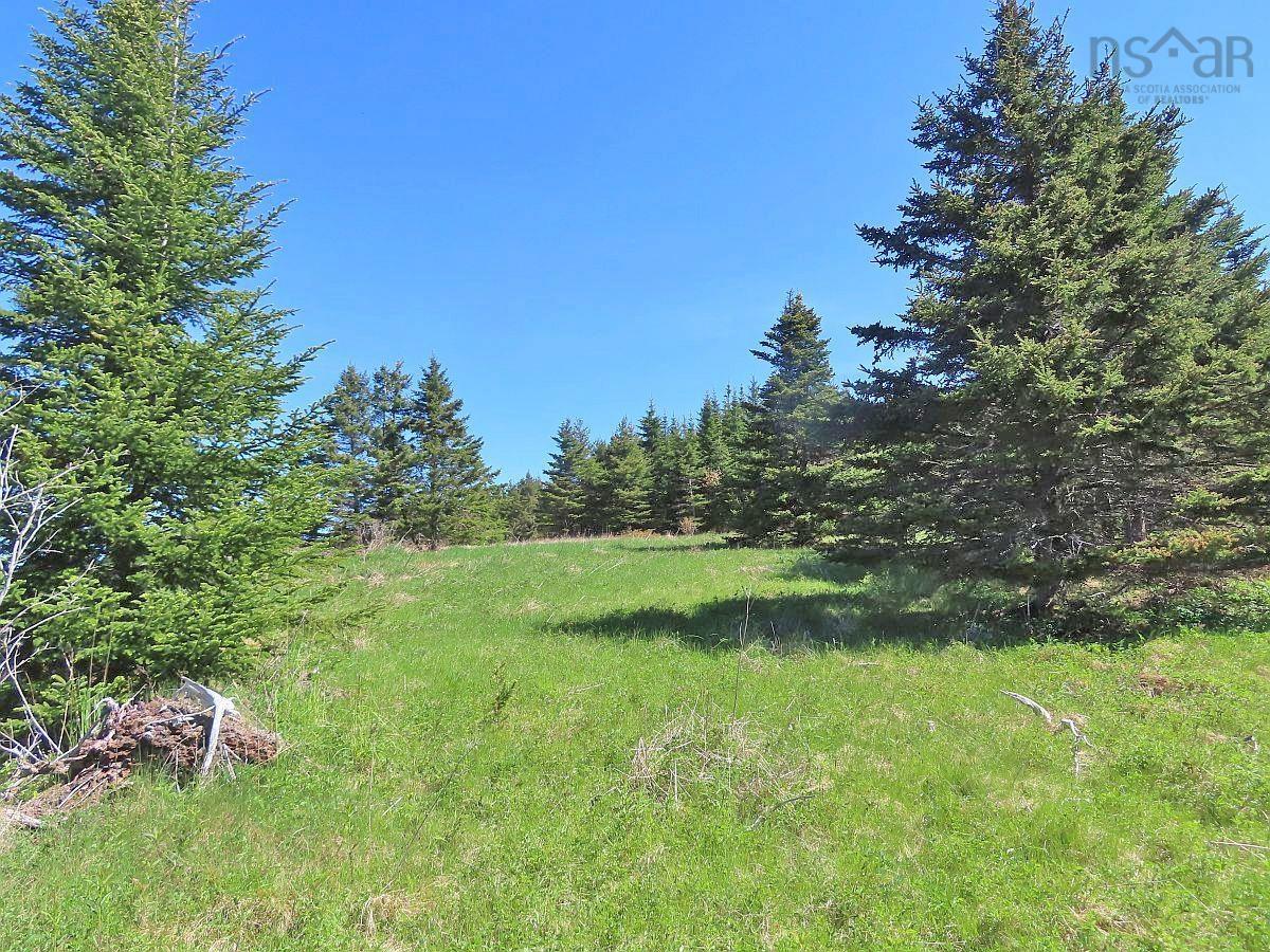 $89,500.00: LOT 4 Highway 4, Soldiers Cove