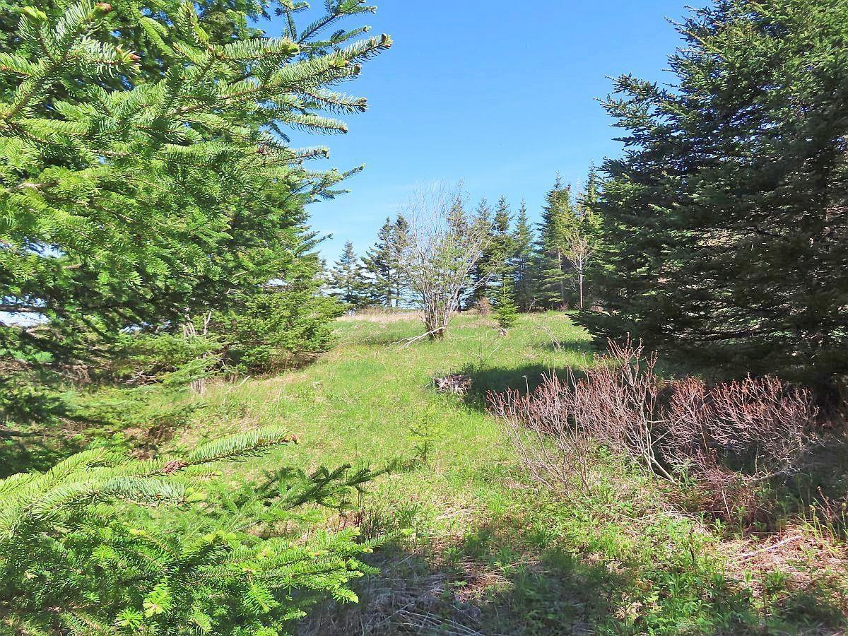 $89,500.00: LOT 4 Highway 4, Soldiers Cove