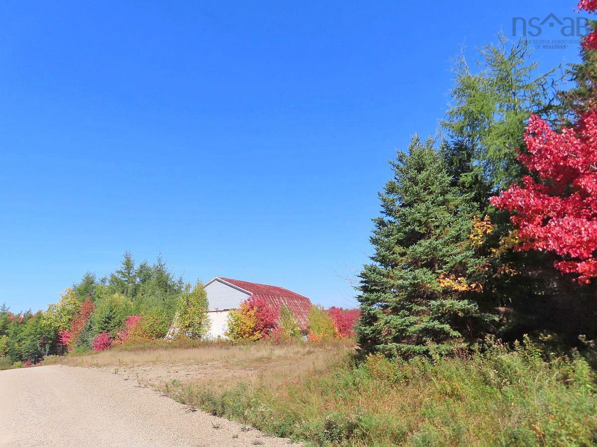 62 Acres West Side Road, West Side Country Harbour, NS (MLS 202407283)