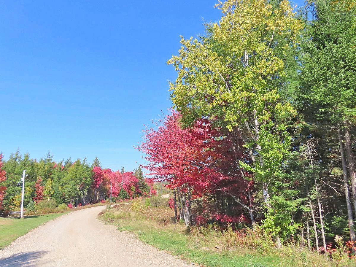 $185,000.00: 62 Acres West Side Road, West Side Country Harbour