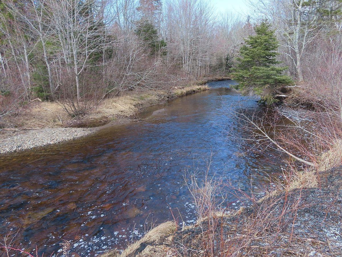 $185,000.00: 62 Acres West Side Road, West Side Country Harbour