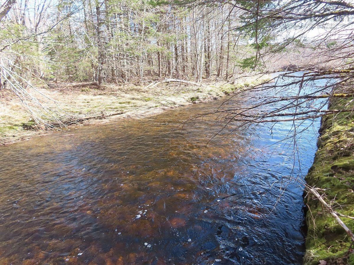 $185,000.00: 62 Acres West Side Road, West Side Country Harbour