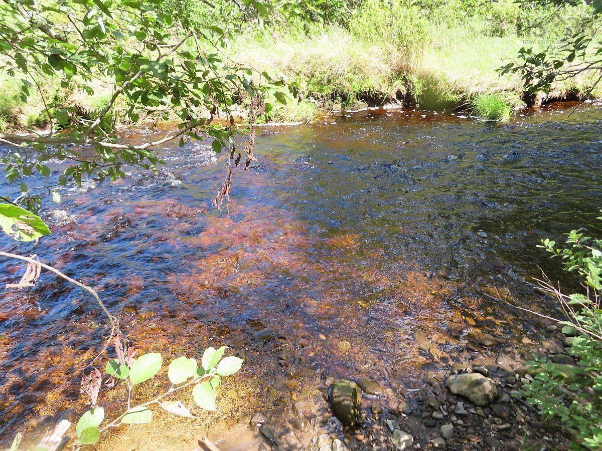 $185,000.00: 62 Acres West Side Road, West Side Country Harbour