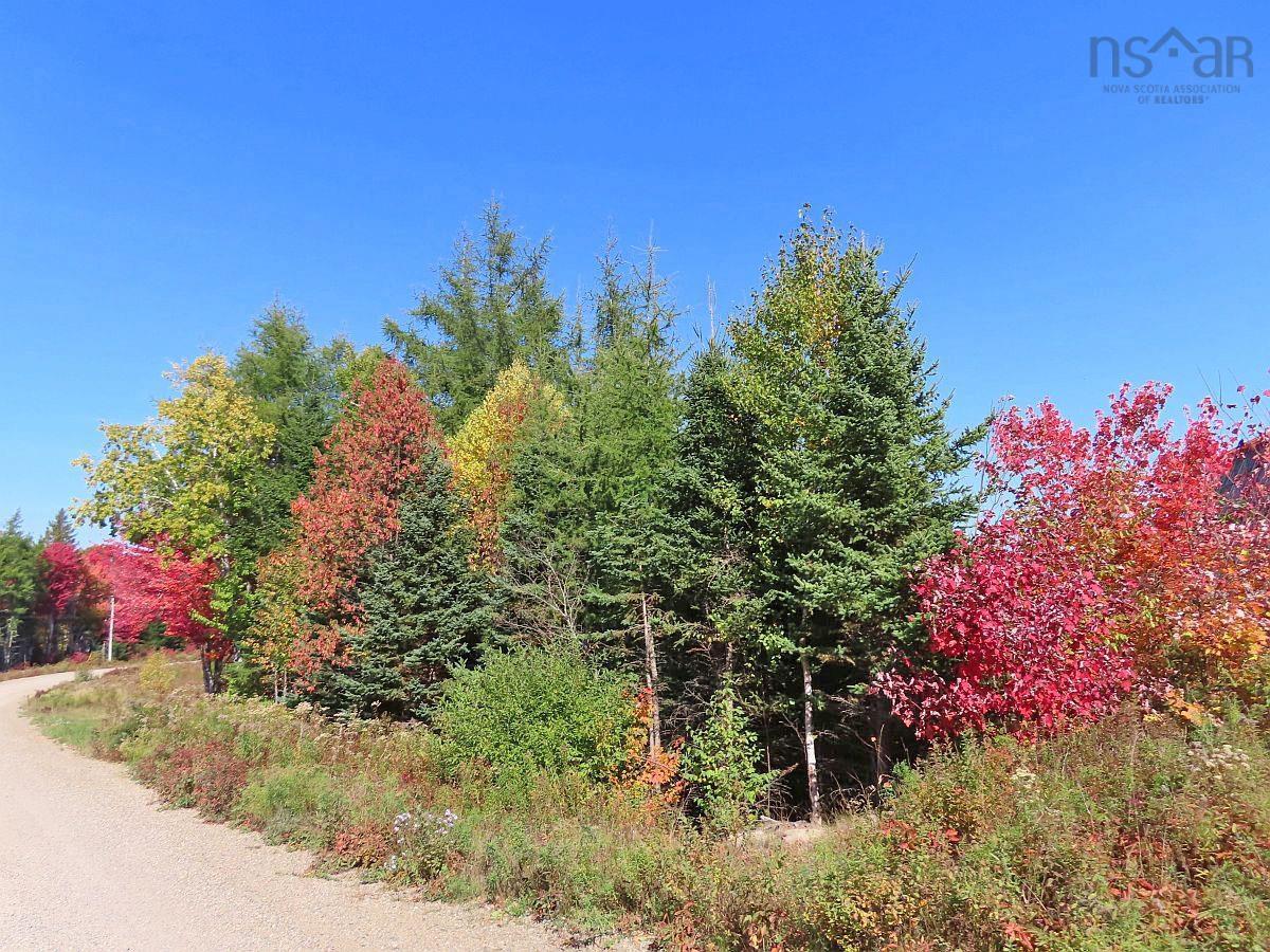 $185,000.00: 62 Acres West Side Road, West Side Country Harbour